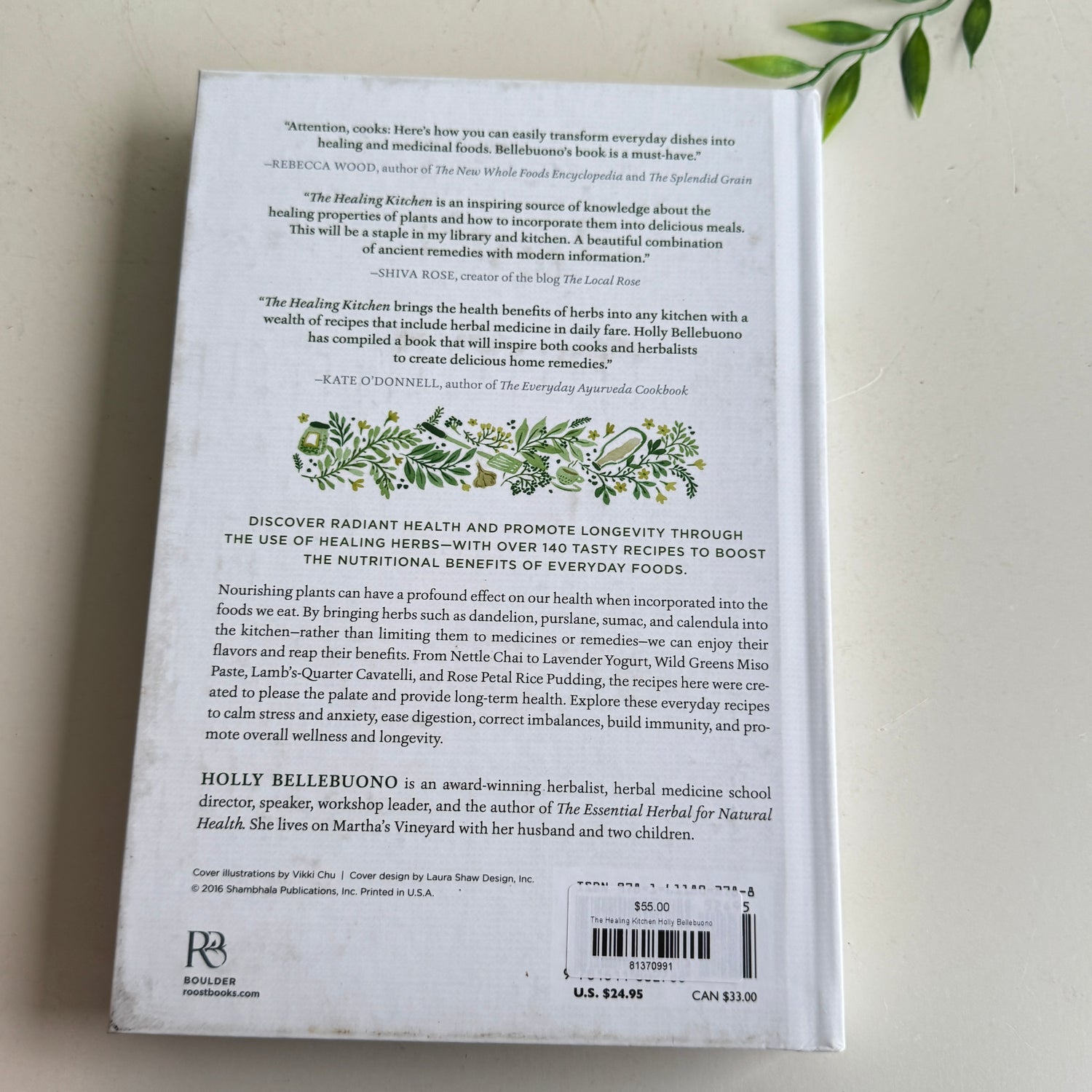 The Healing Kitchen Holly Bellebuono