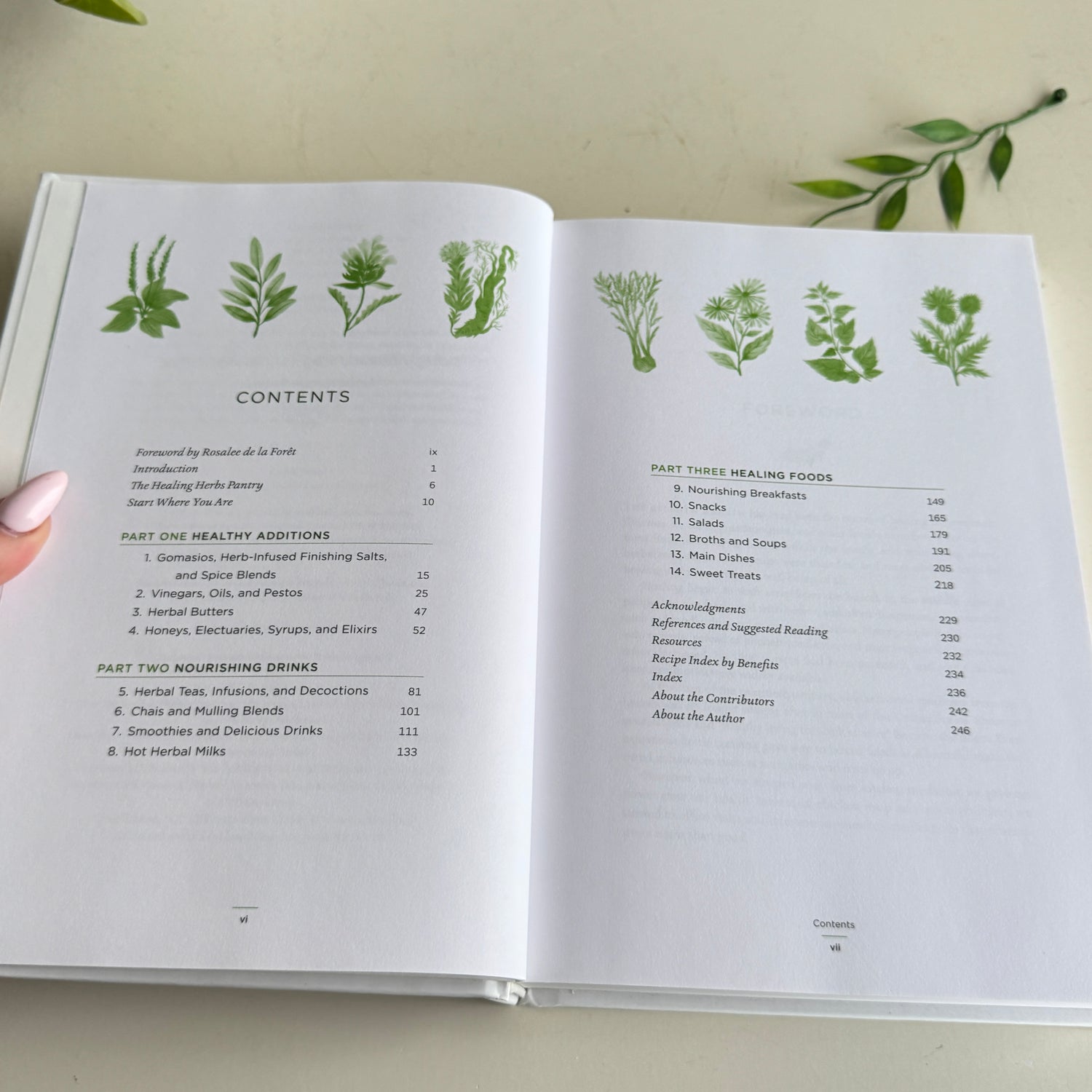 The Healing Kitchen Holly Bellebuono