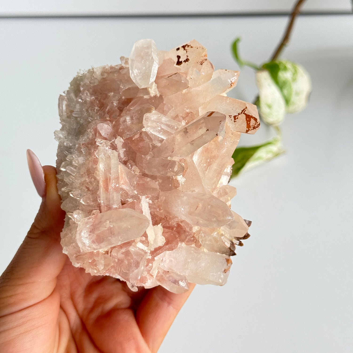 Pink Himalayan Quartz Cluster 270g