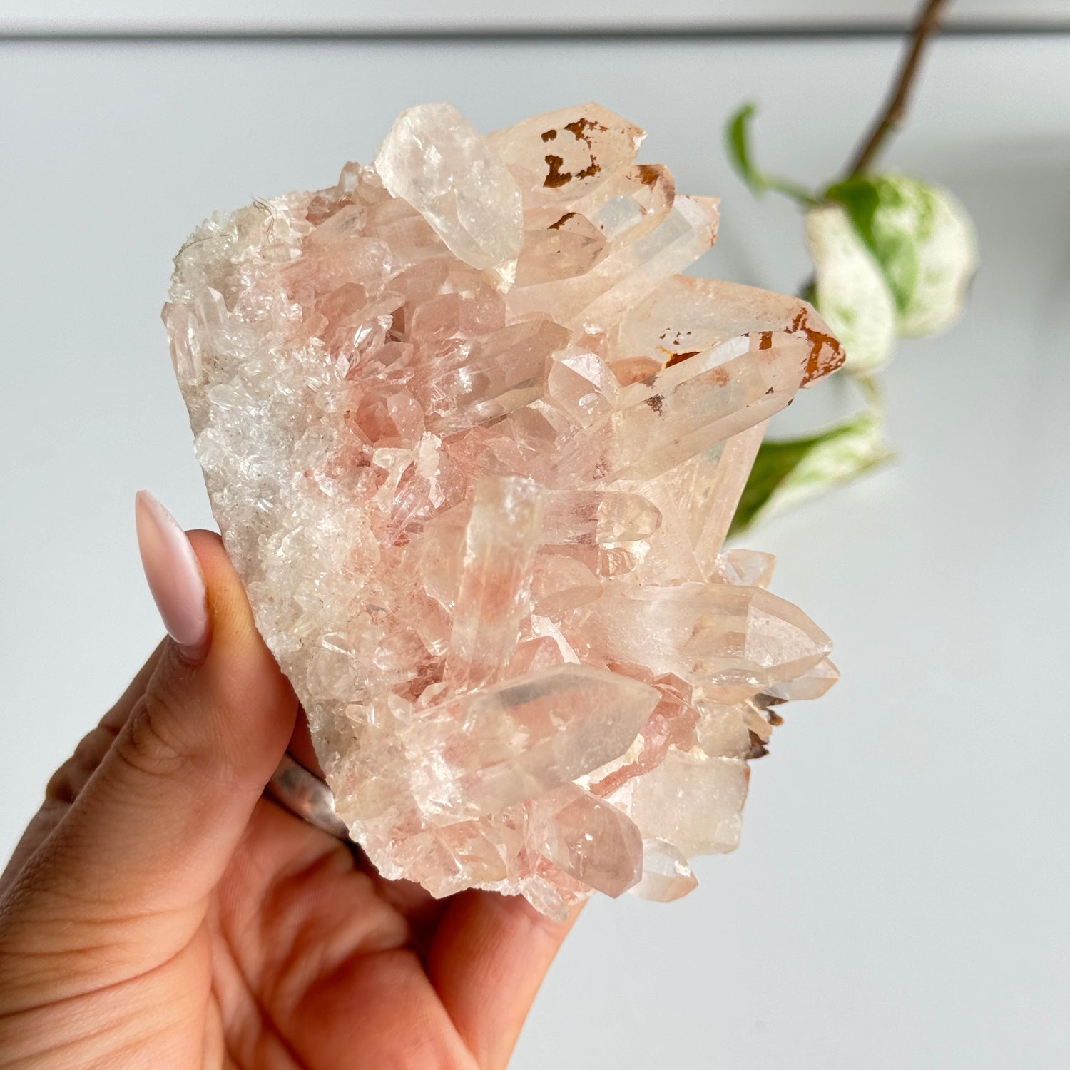 Pink Himalayan Quartz Cluster 270g