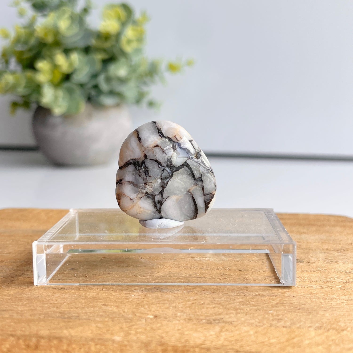 Cataclosite Pc (Namibia)