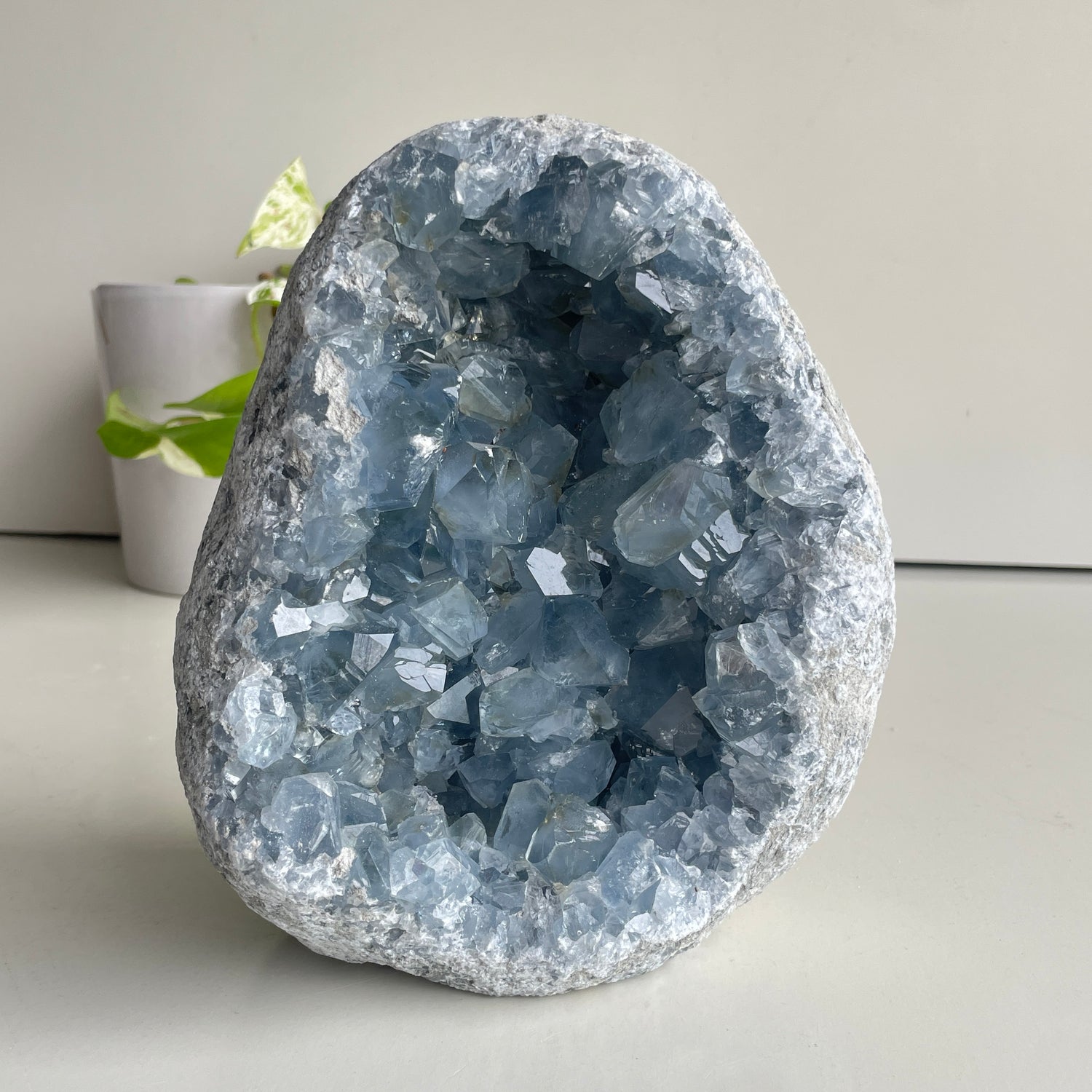 Celestite Cluster 4.514kg