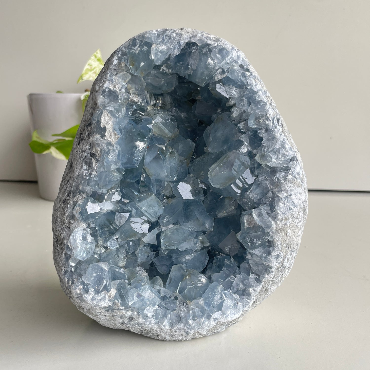 Celestite Cluster 4.514kg