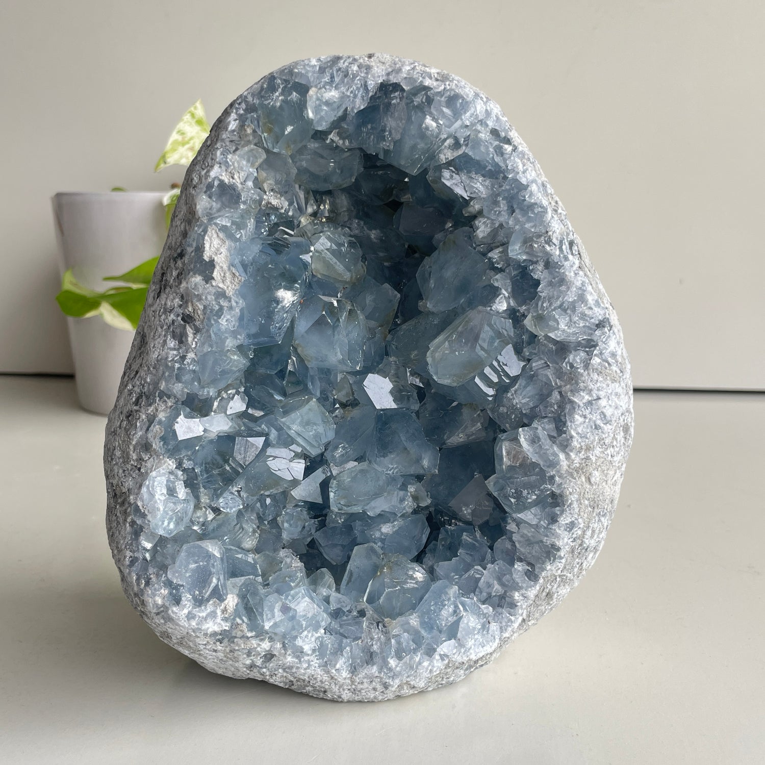 Celestite Cluster 4.514kg