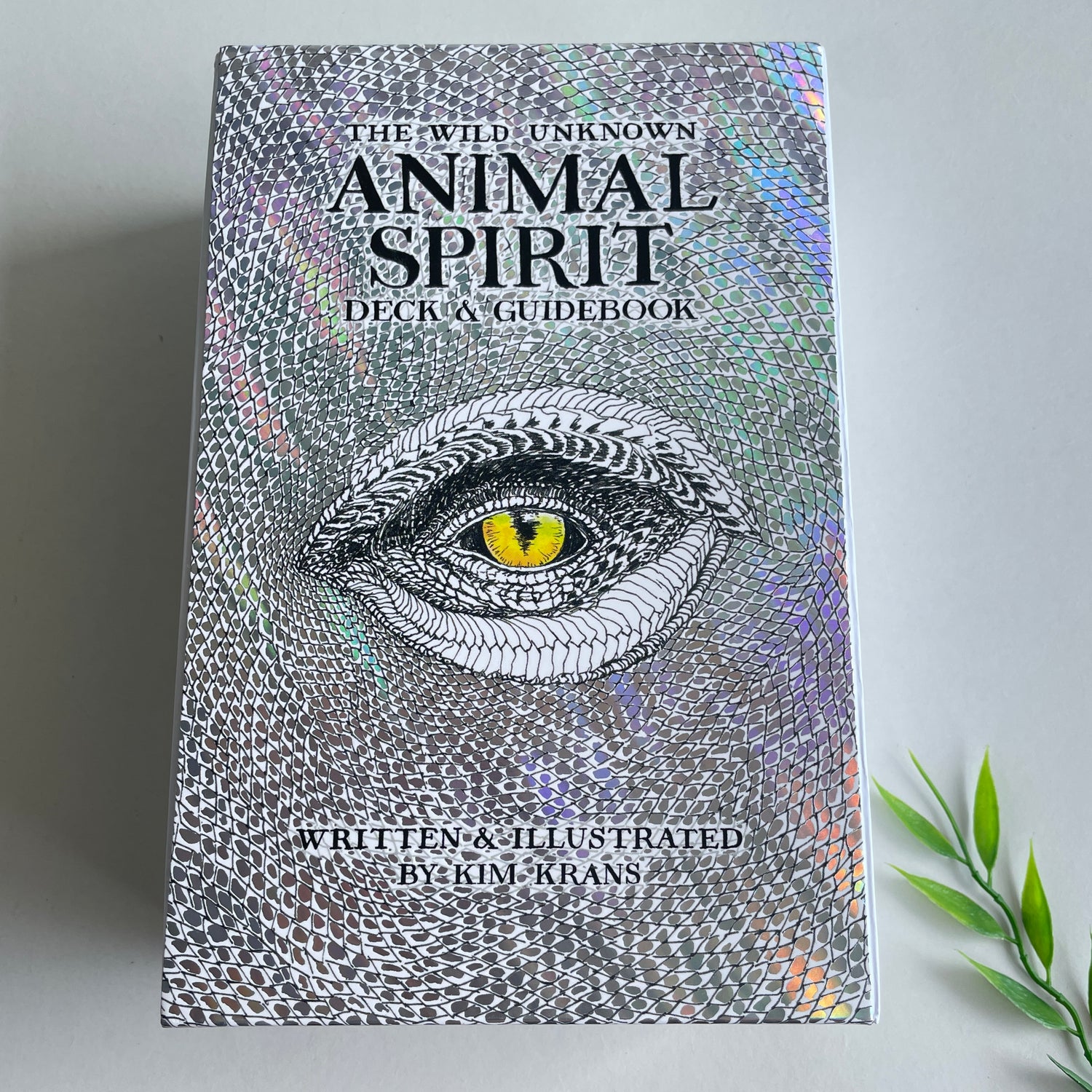 The Wild Unknown Animal Spirit Oracle Cards
