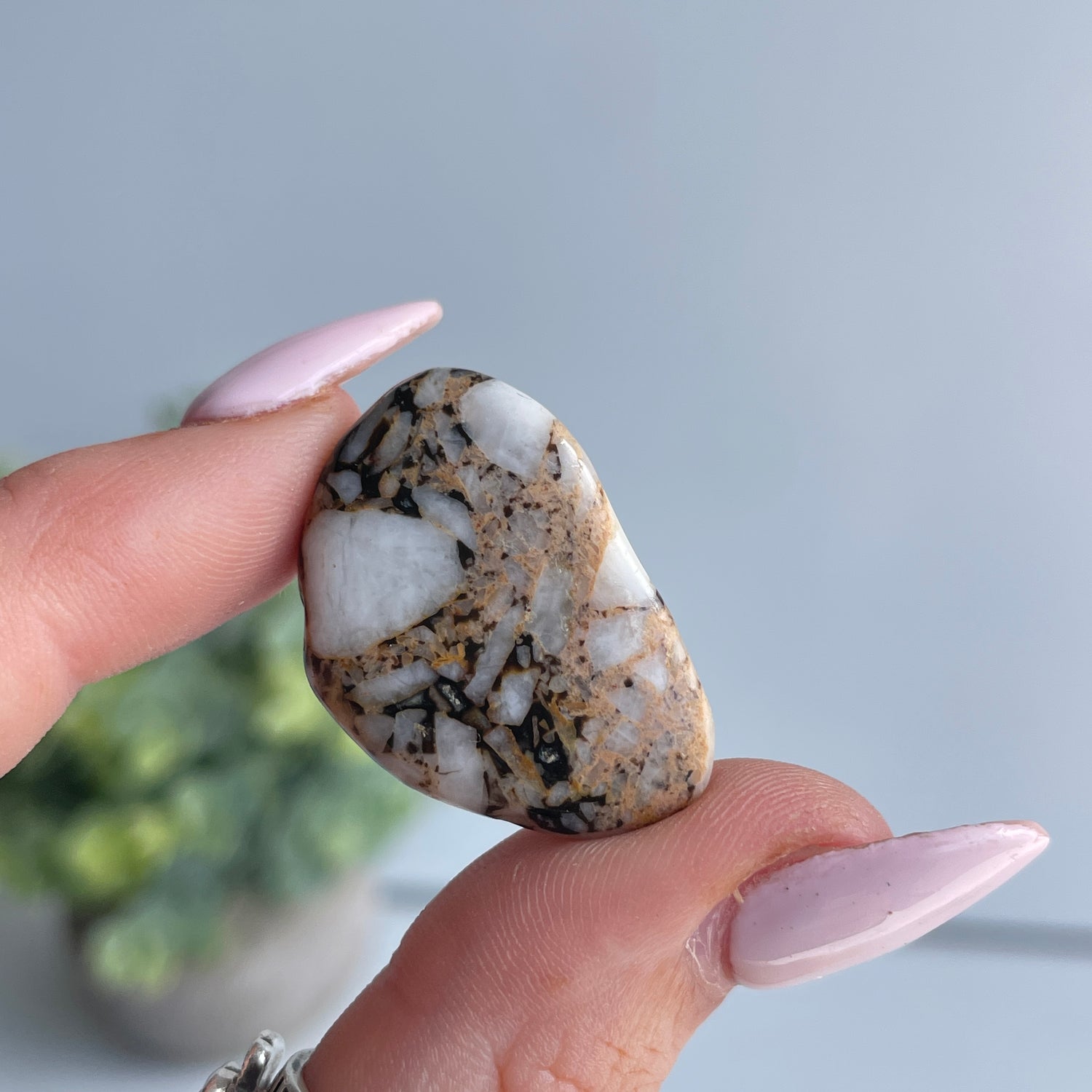 Cataclosite Pc (Namibia)