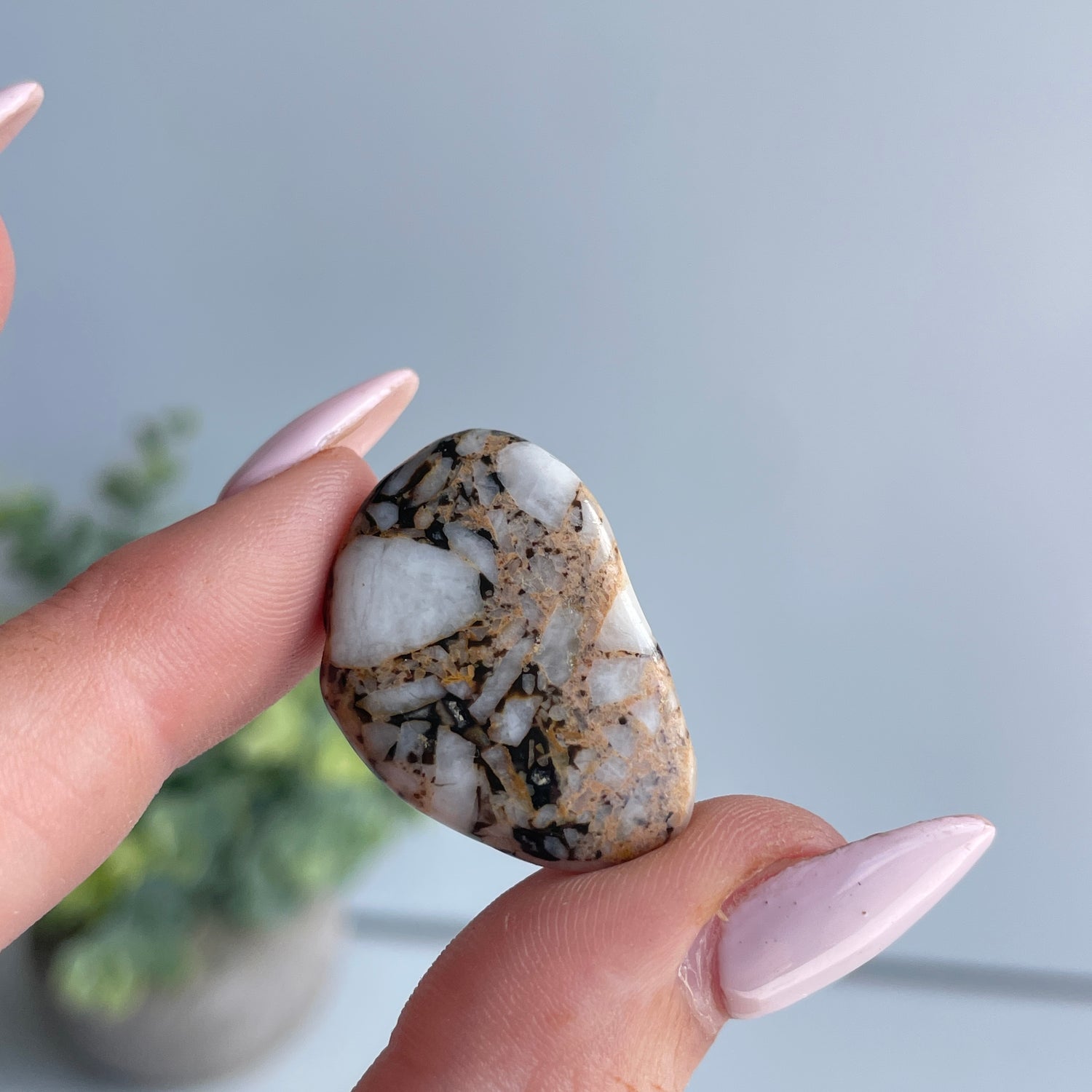 Cataclosite Pc (Namibia)