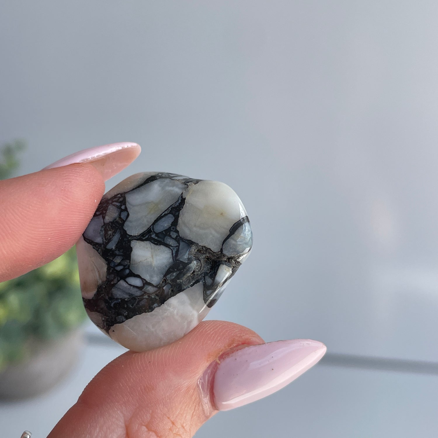 Cataclosite Pc (Namibia)