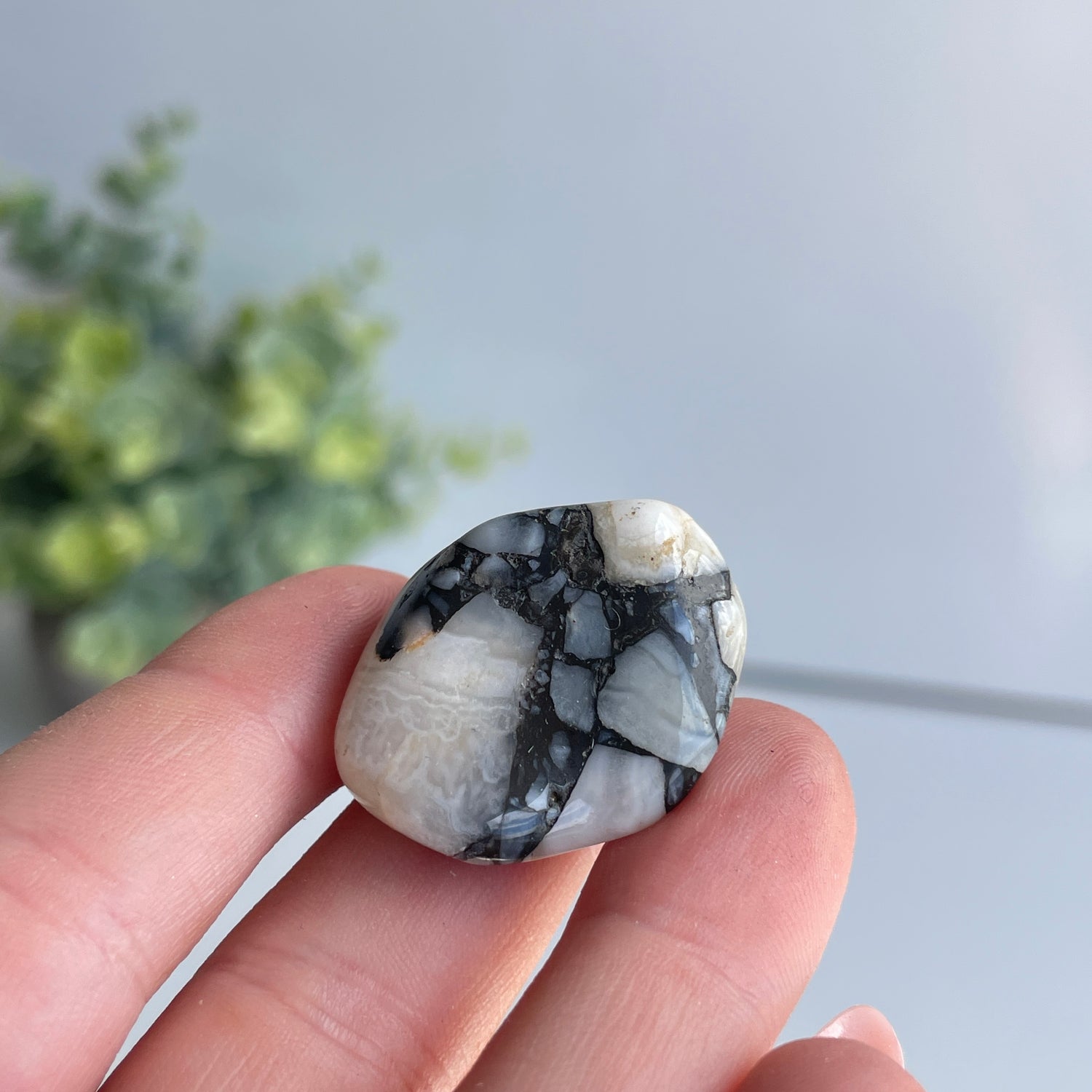 Cataclosite Pc (Namibia)