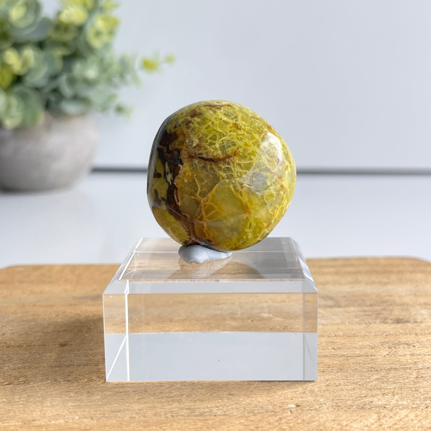 Kiwi Opal Pc