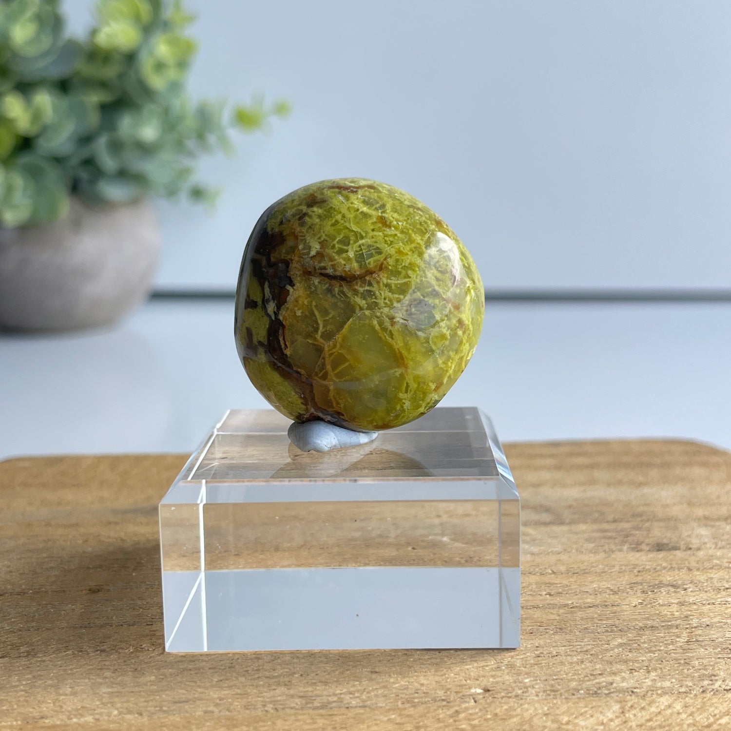 Kiwi Opal Pc