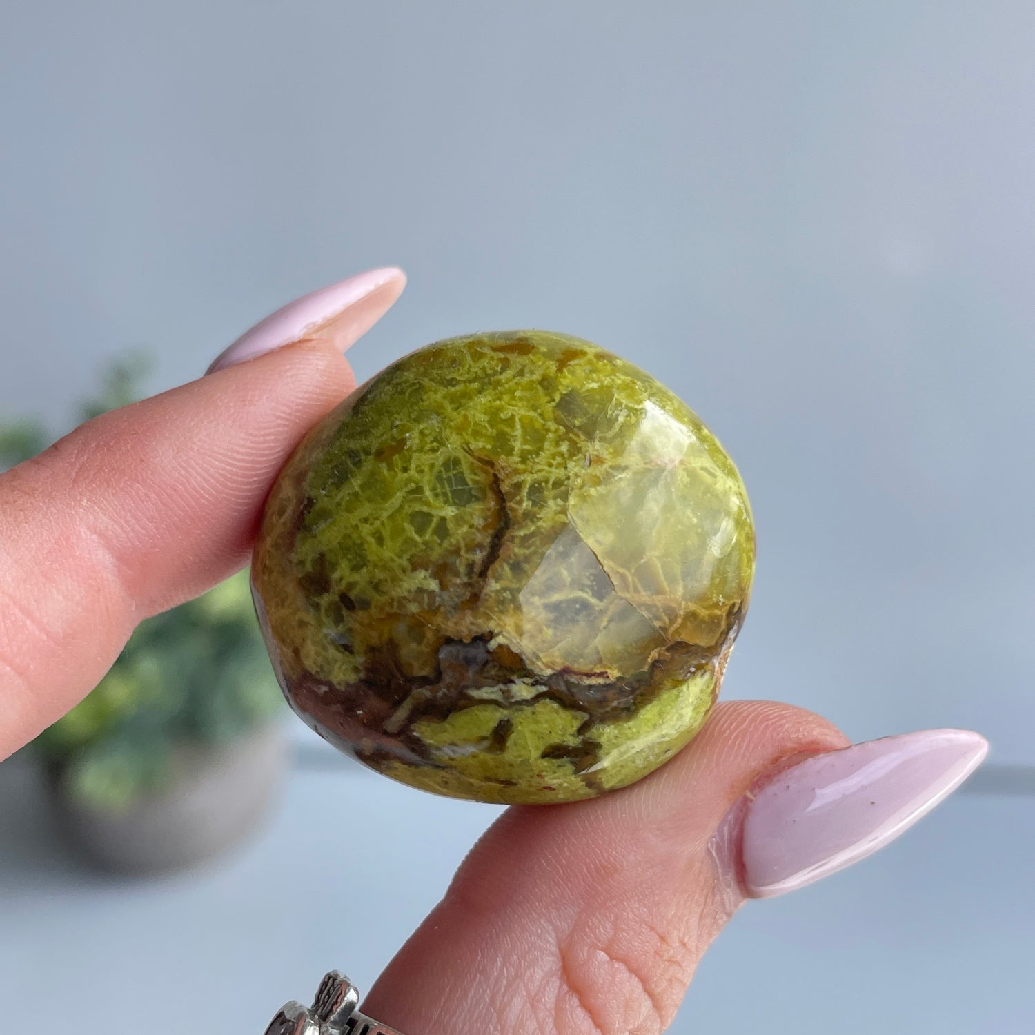 Kiwi Opal Pc