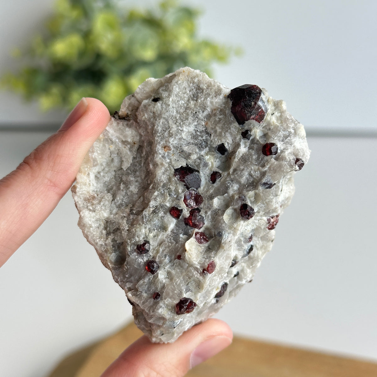 Garnet In Quartz Matrix Pce 146g