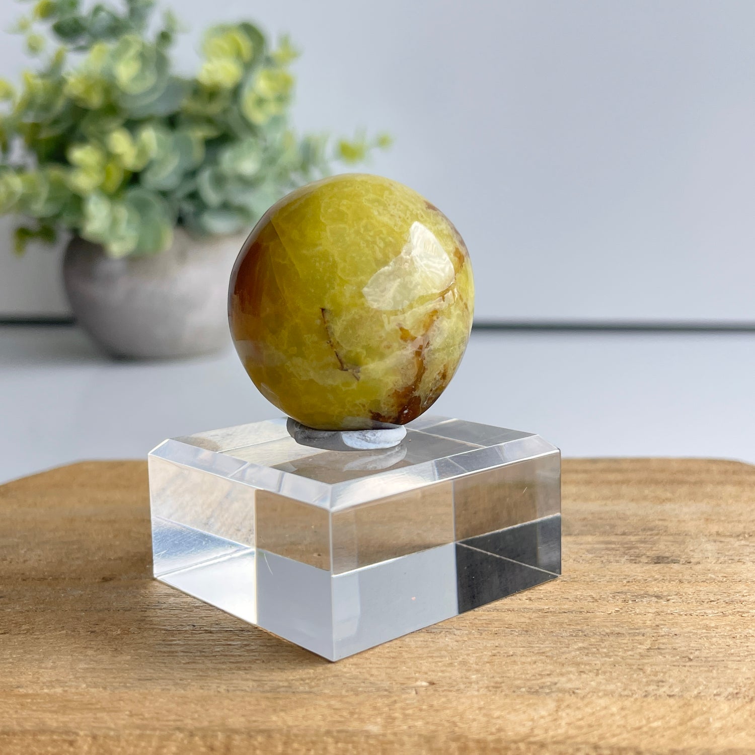 Kiwi Opal Pc