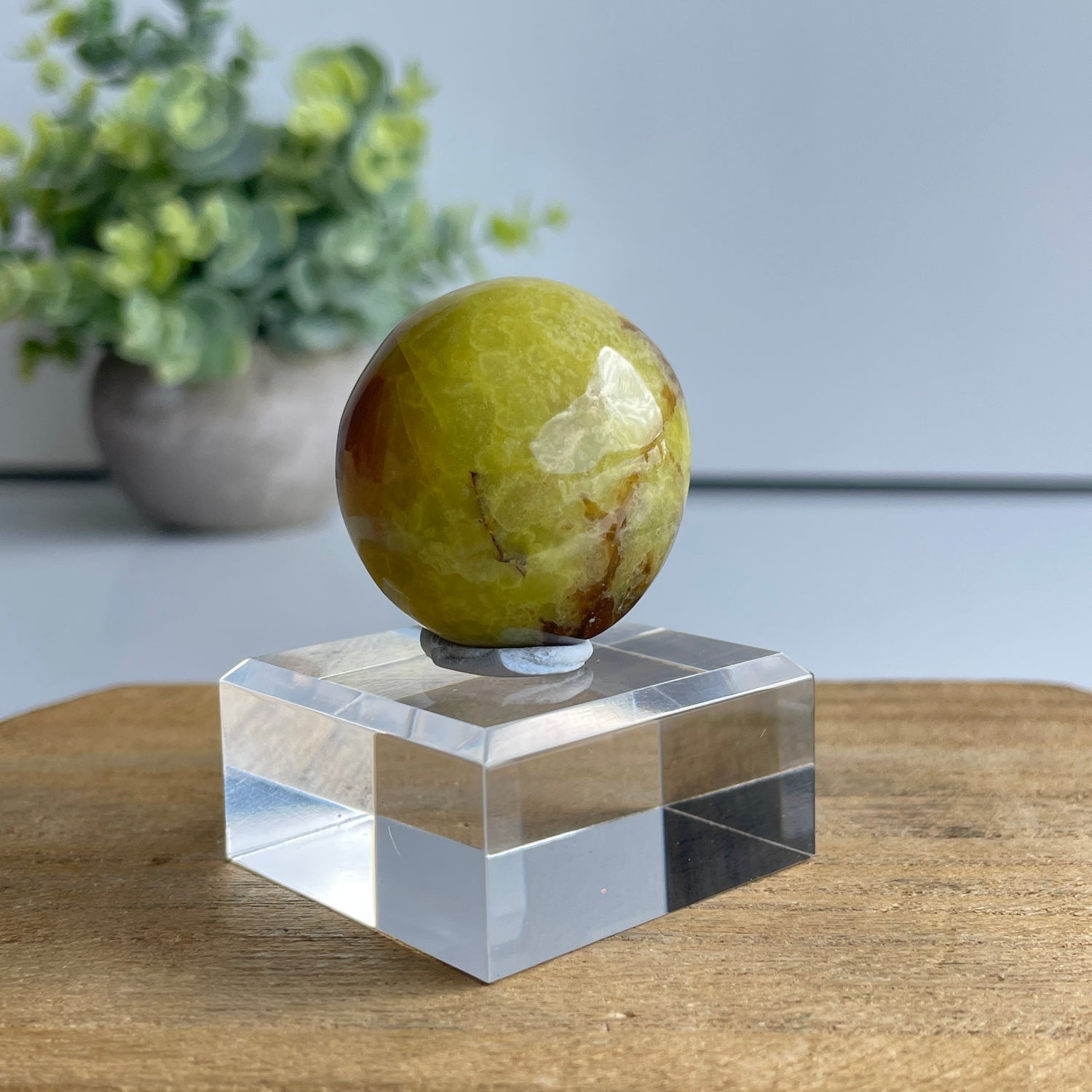 Kiwi Opal Pc