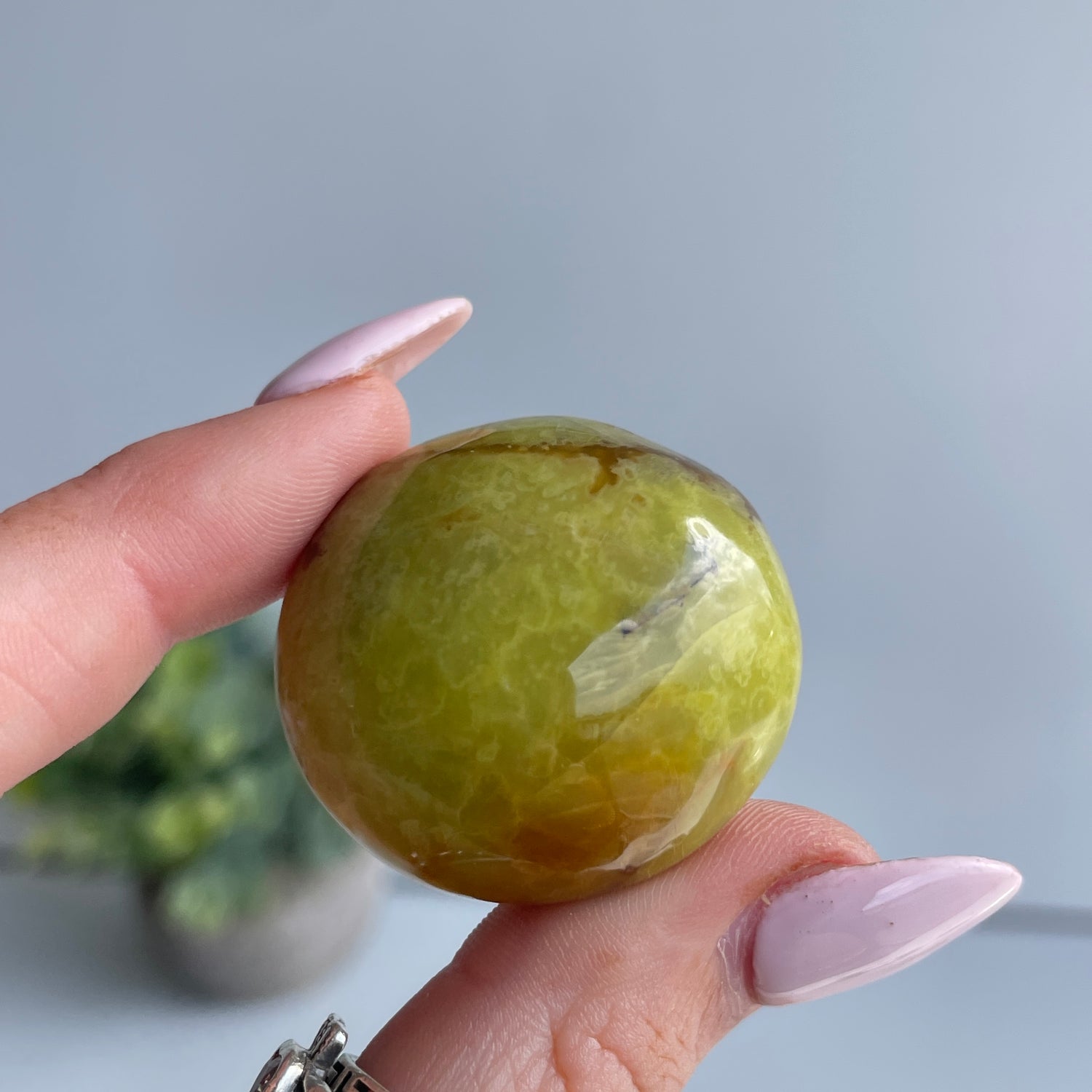 Kiwi Opal Pc
