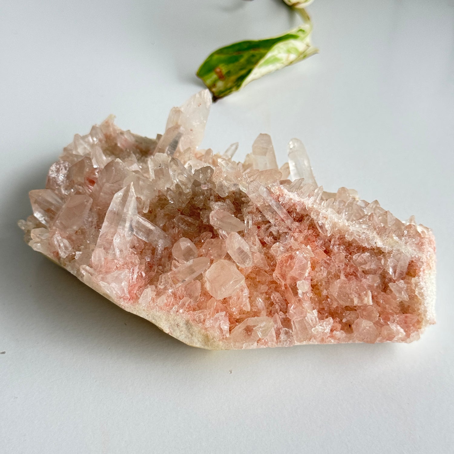 Pink Himalayan Quartz Cluster 526g