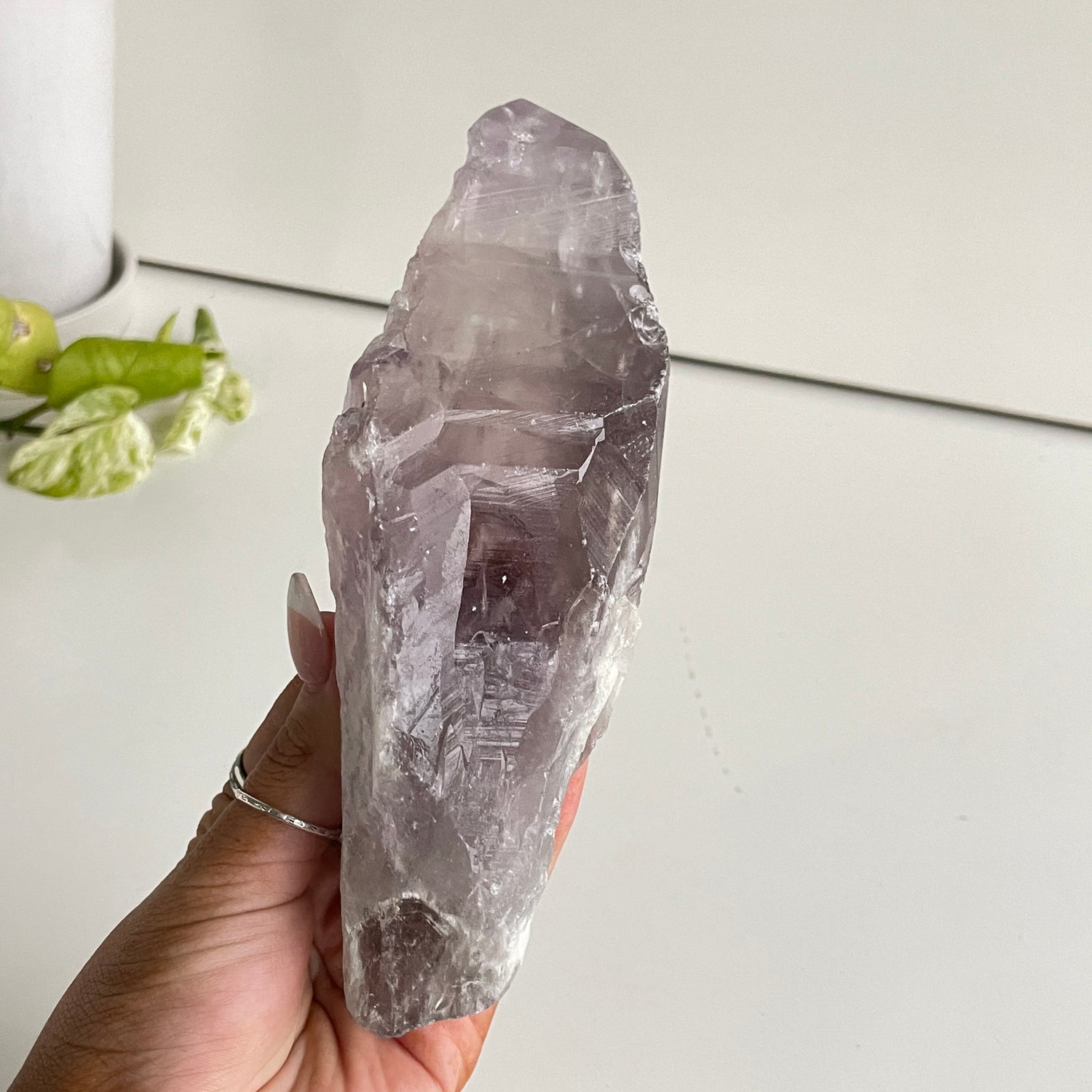 Amethyst Dragon Tooth Point 453g