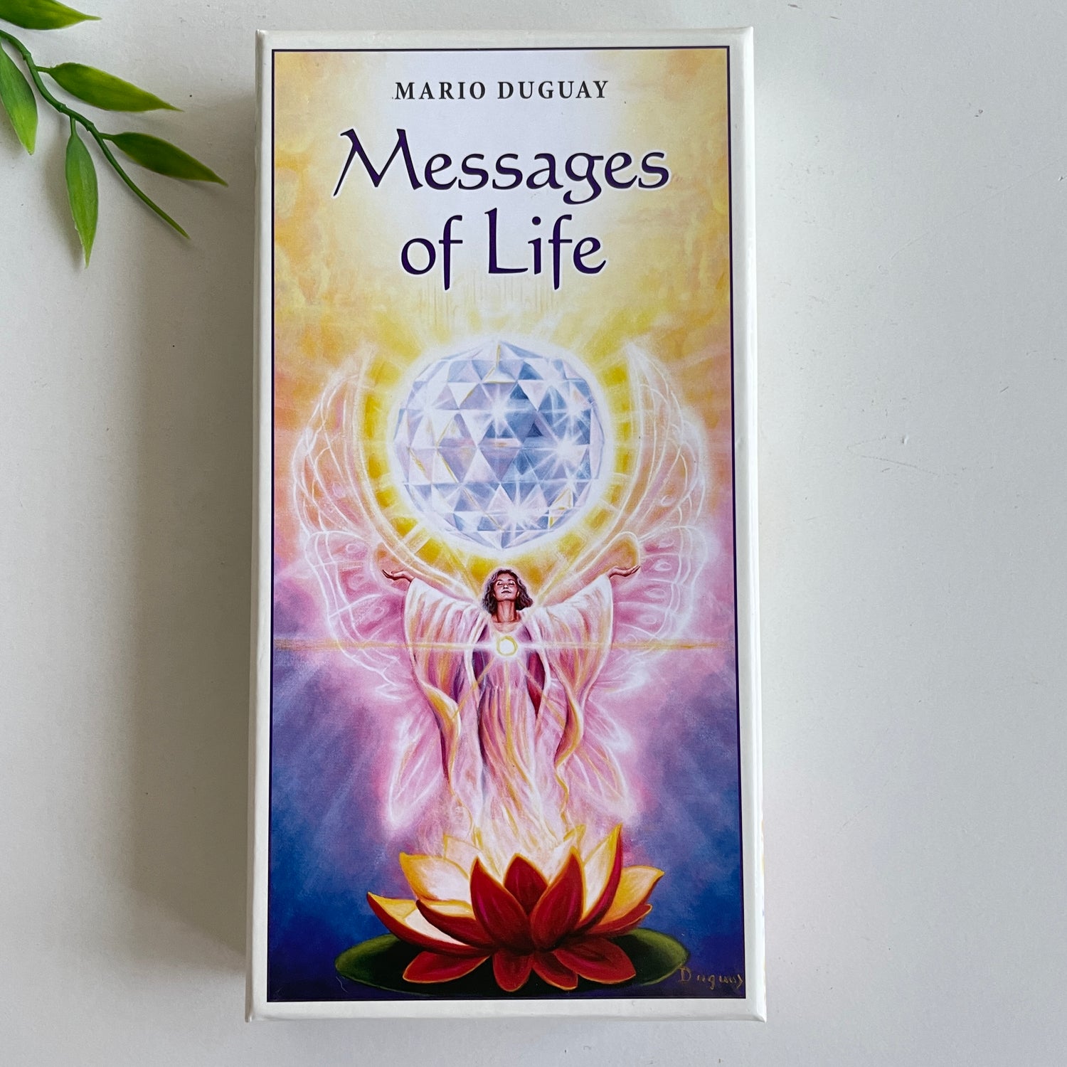 Messages Of Life Cards Mario Guguay