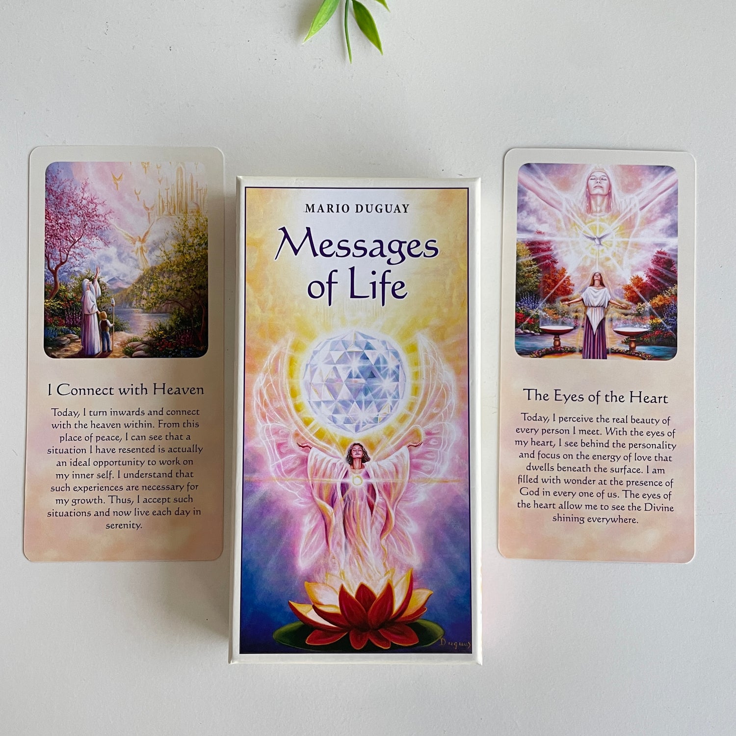 Messages Of Life Cards Mario Guguay