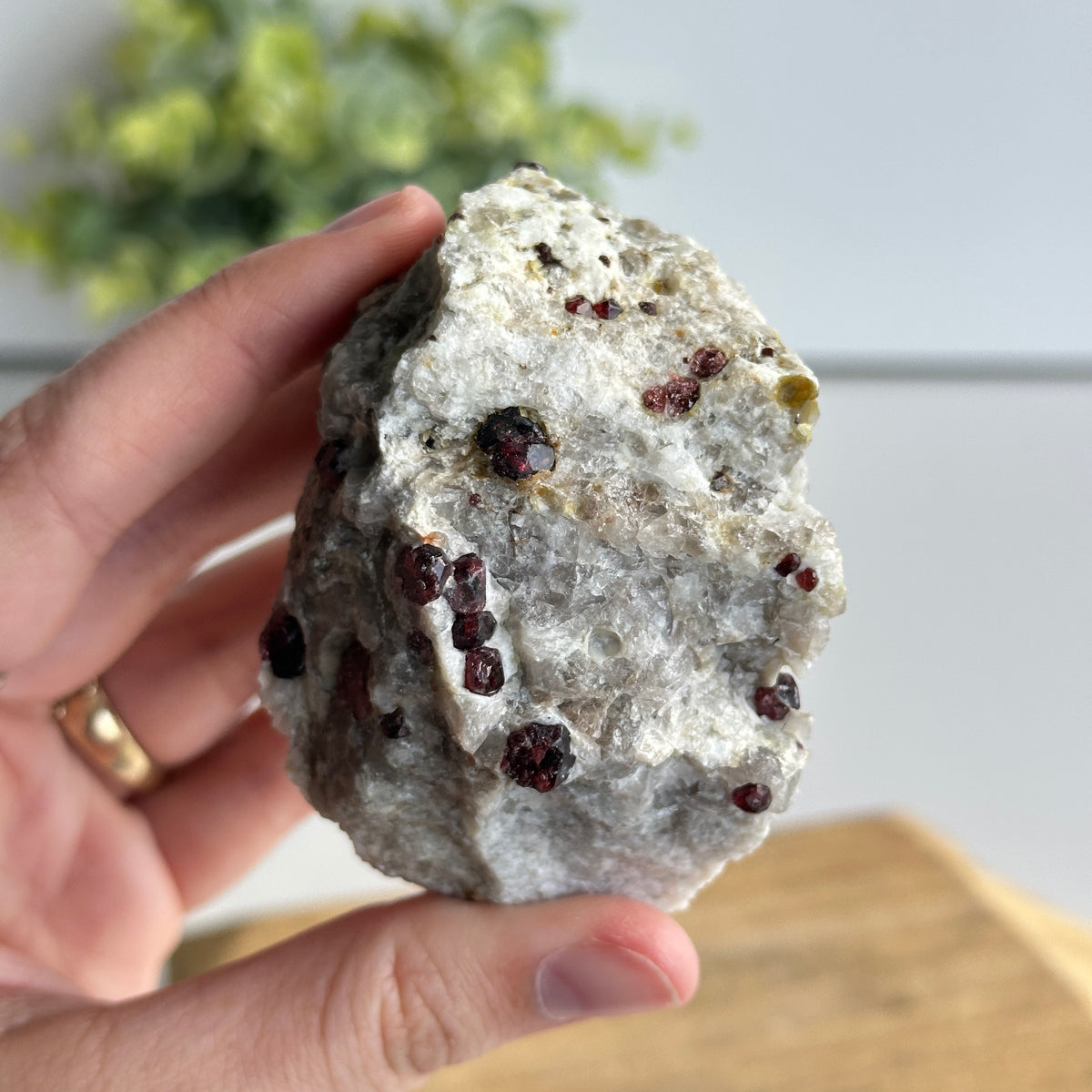 Garnet In Quartz Matrix Pce 218g