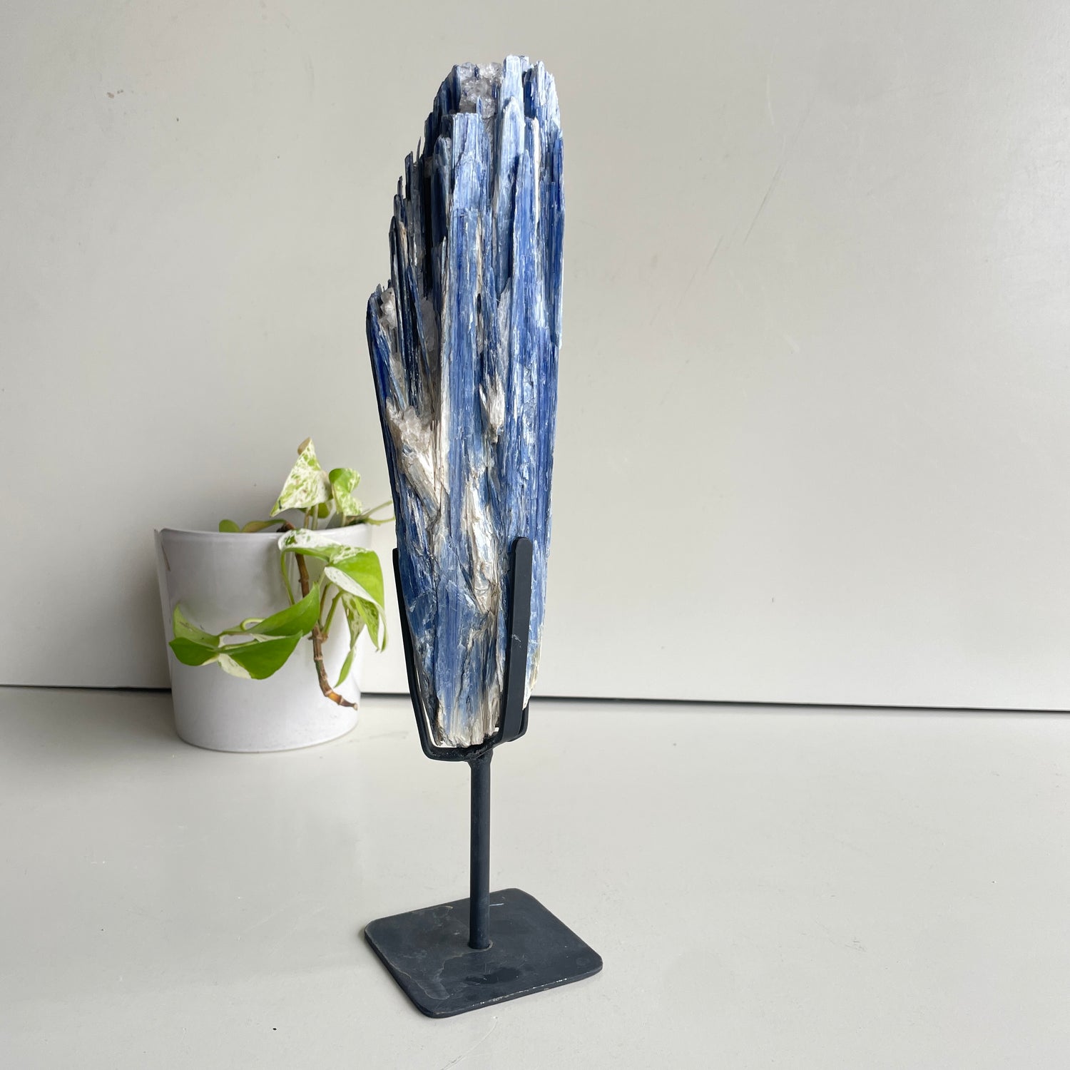 Blue Kyanite Freeform Pce In Stand