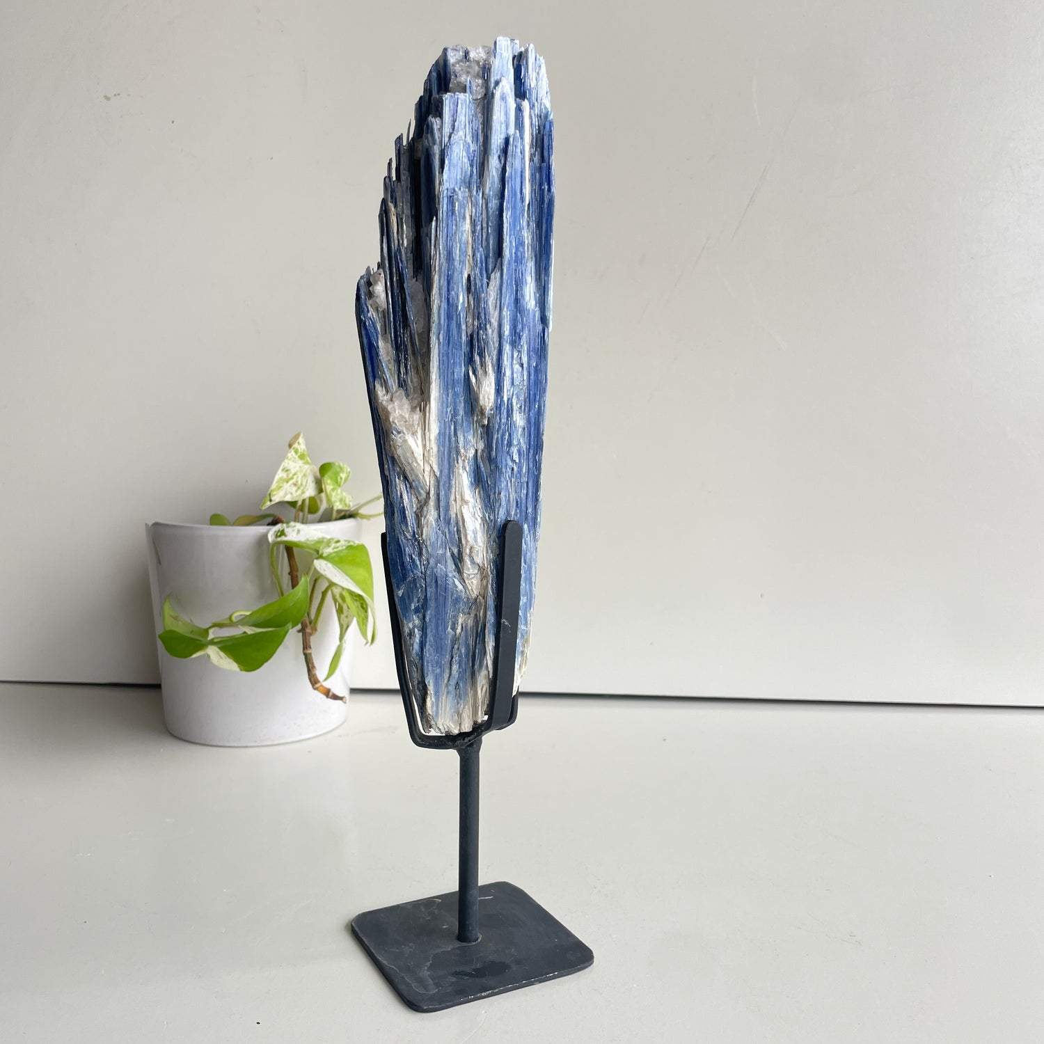 Blue Kyanite Freeform Pce In Stand