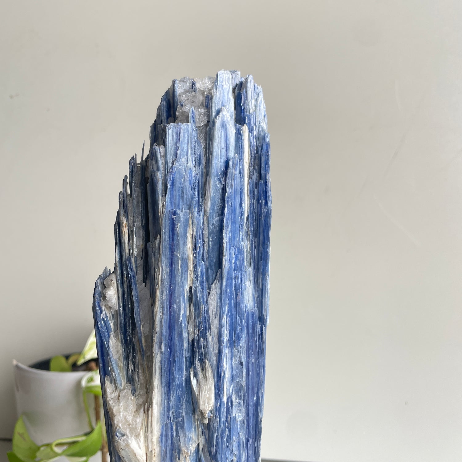 Blue Kyanite Freeform Pce In Stand
