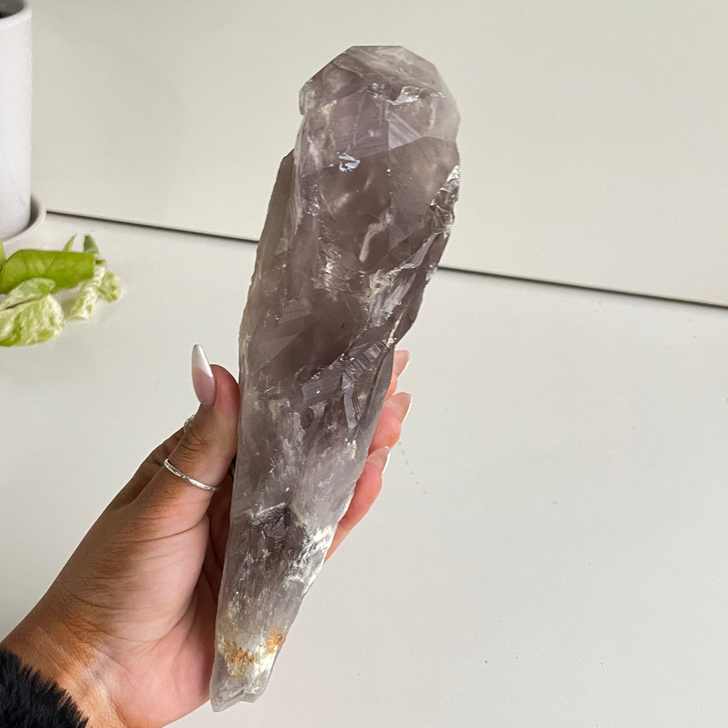 Amethyst Dragon Tooth Point 708g