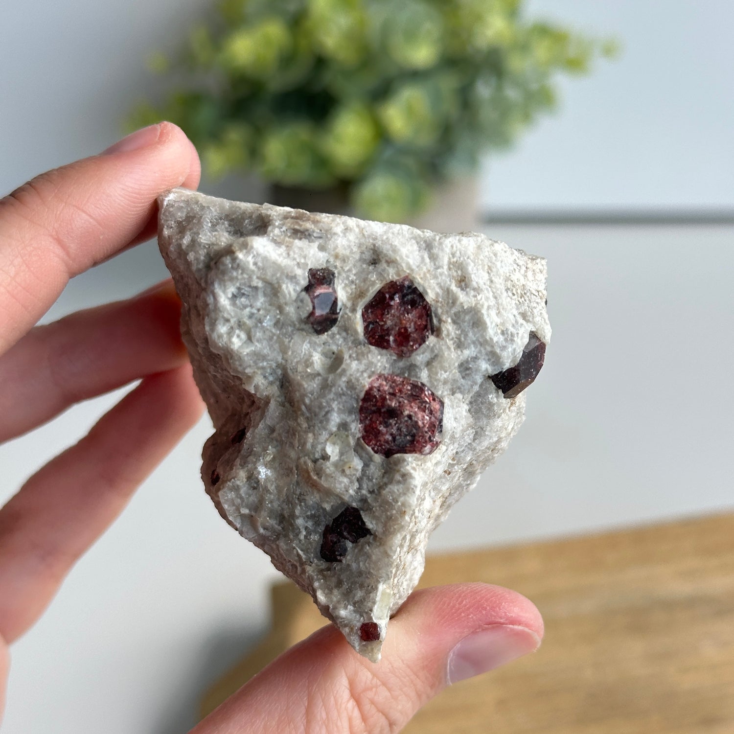 Garnet In Quartz Matrix Pce 138g