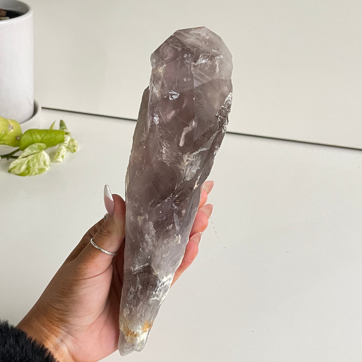 Amethyst Dragon Tooth Point 708g