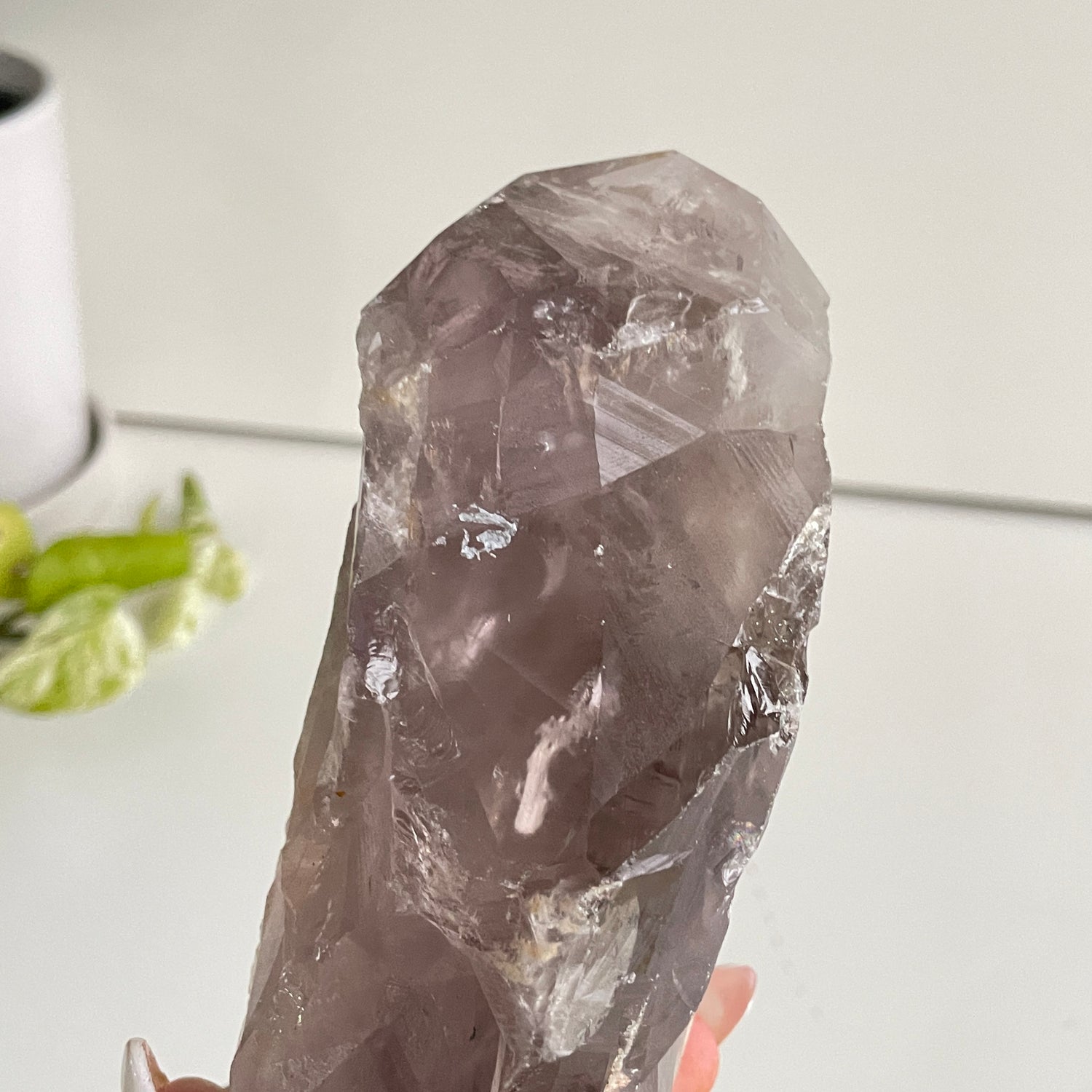 Amethyst Dragon Tooth Point 708g