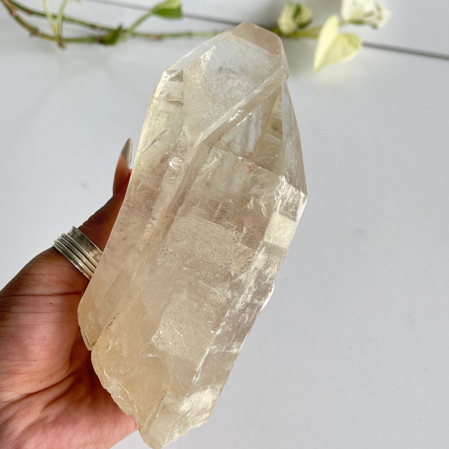 Lemurian Quartz Point 664g