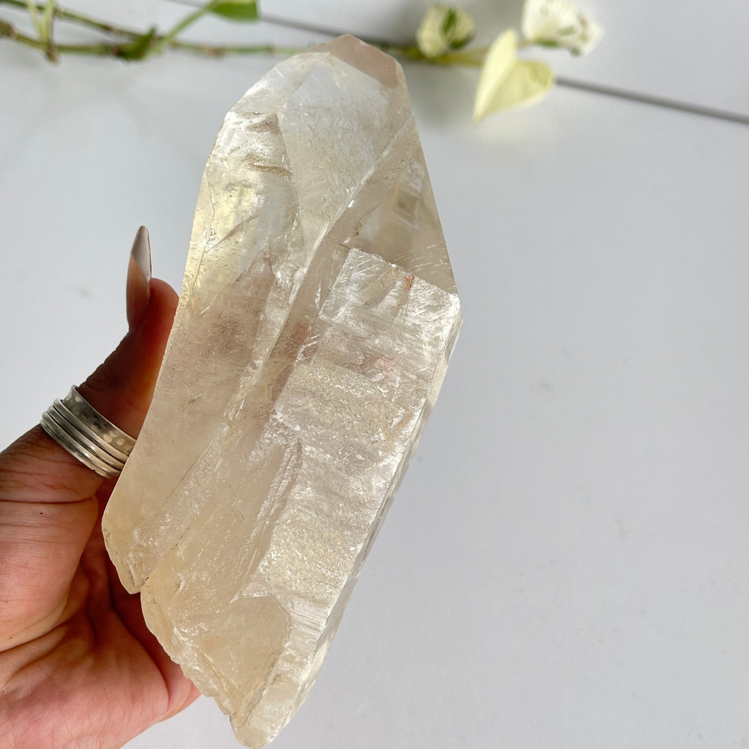 Lemurian Quartz Point 664g