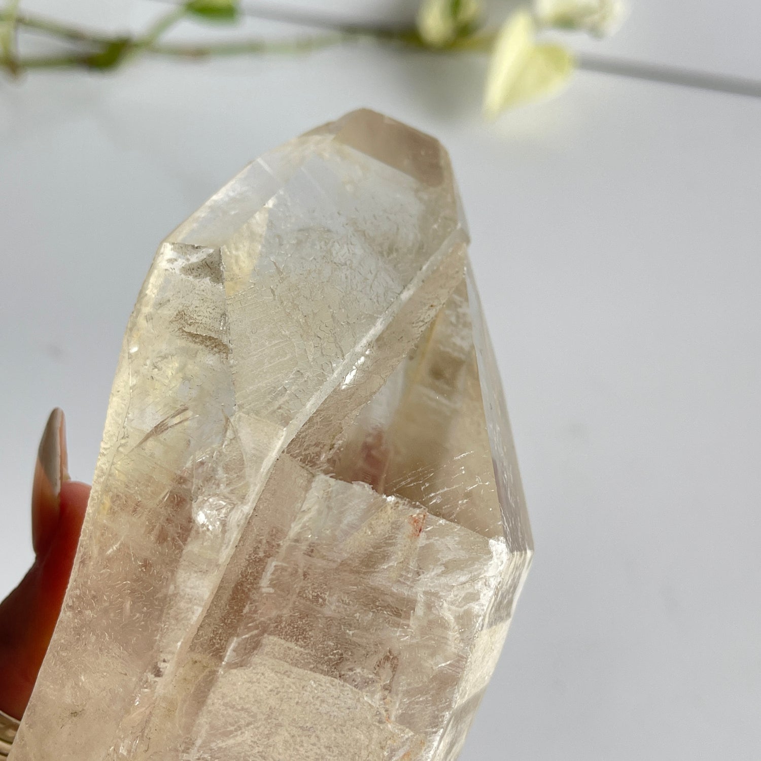 Lemurian Quartz Point 664g