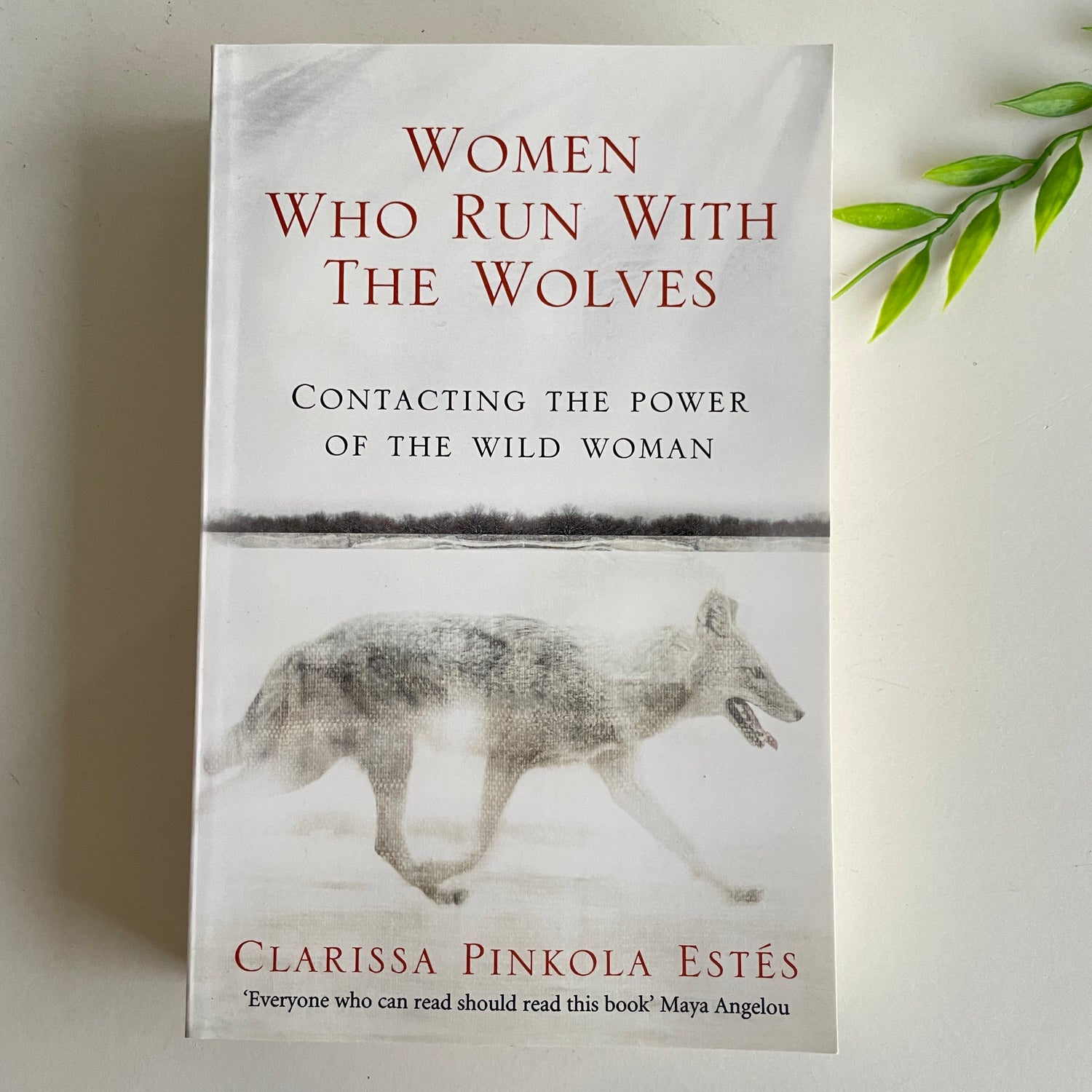 Women Who Run With The Wolves Clarissa Pinkola Estes