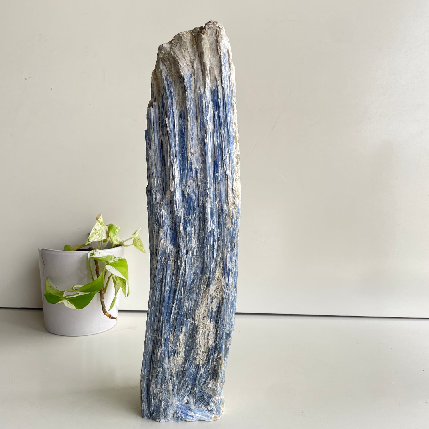 Blue Kyanite Freeform Pce 8.132kg