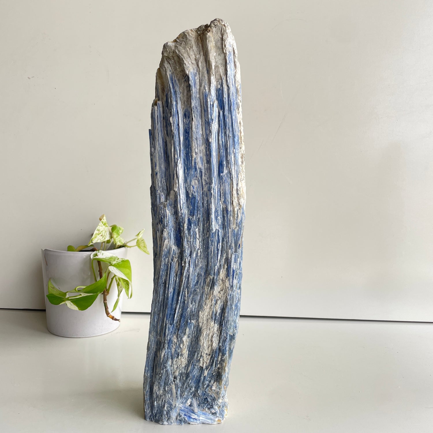 Blue Kyanite Freeform Pce 8.132kg