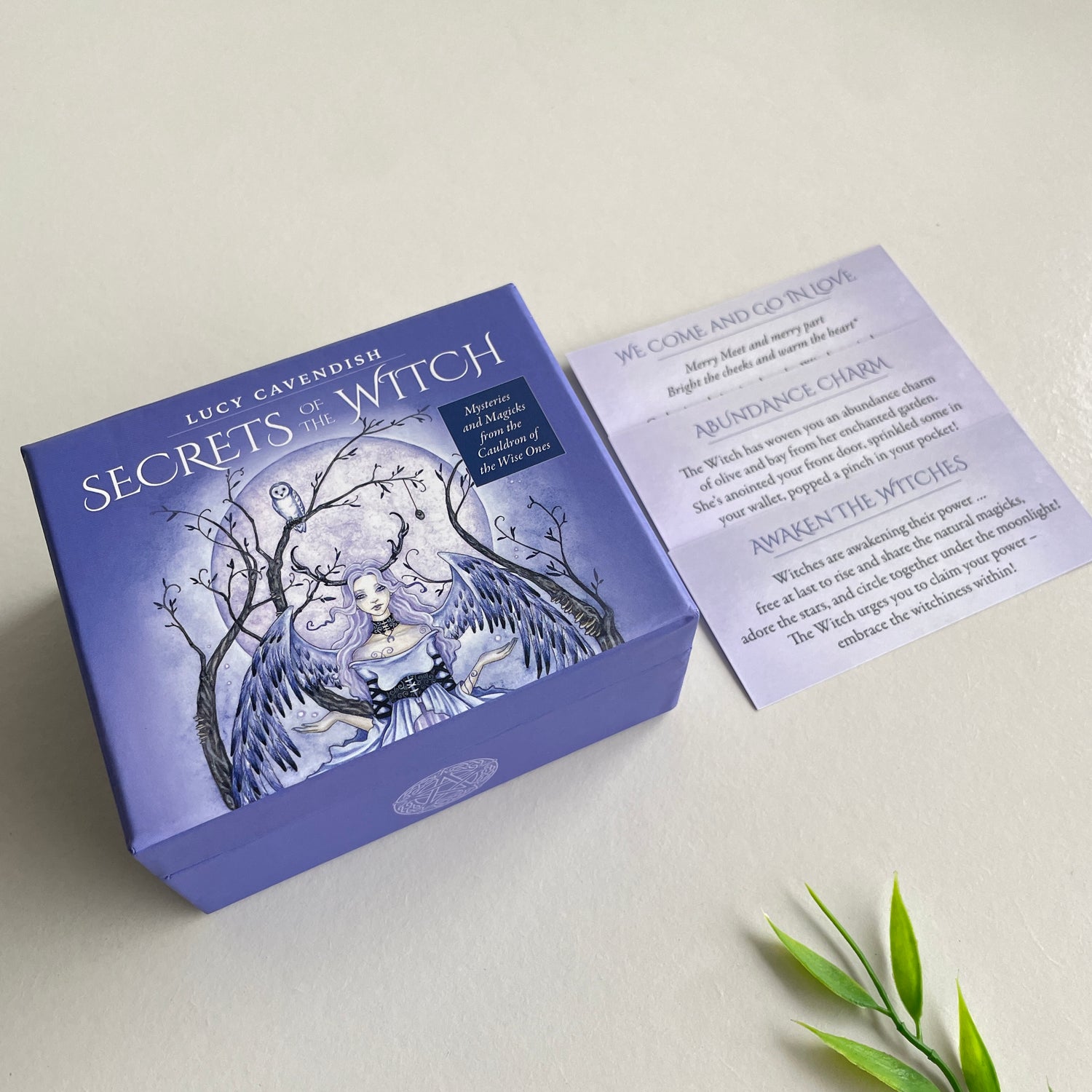 Secrets Of The Witch Mini Cards Lucy Cavendish