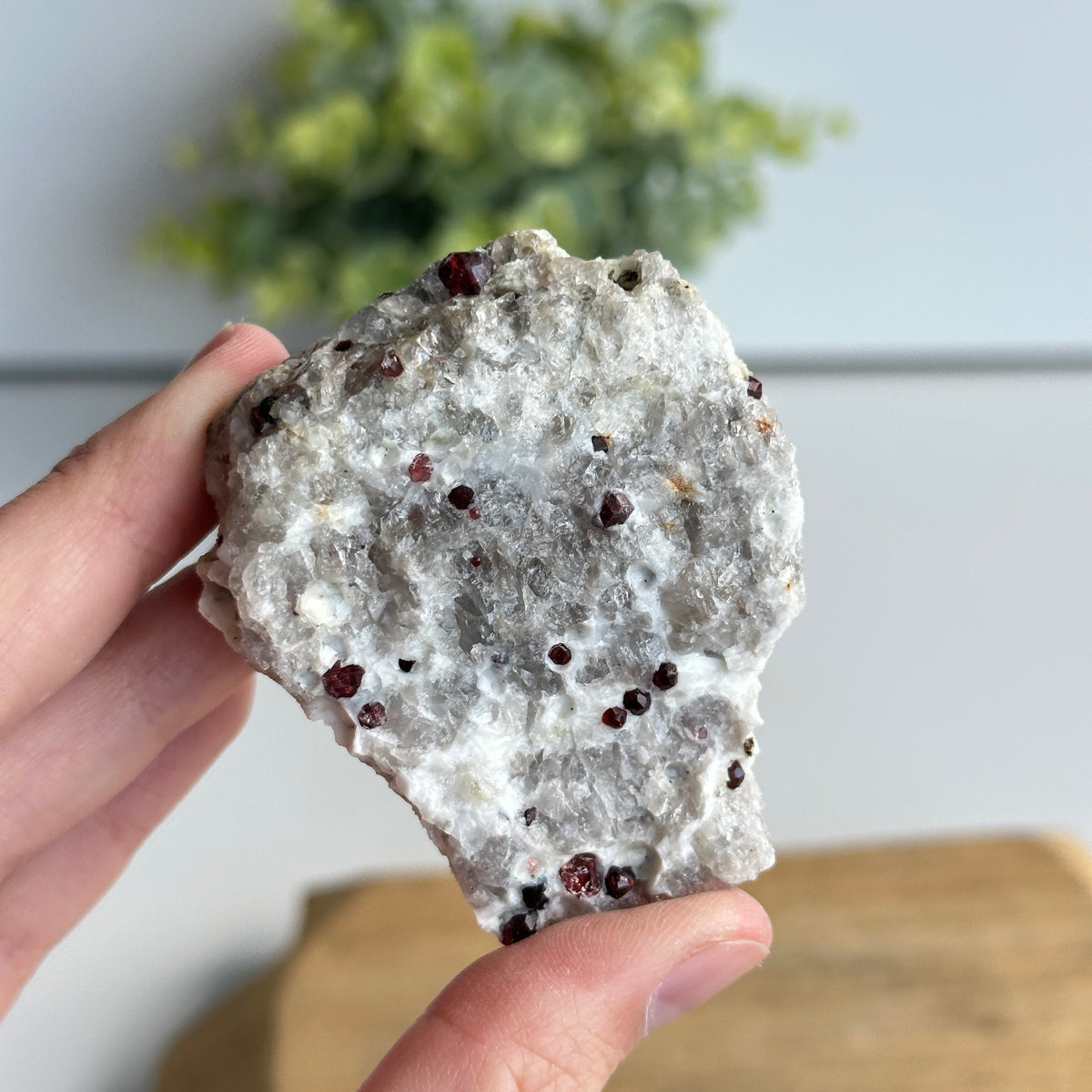 Garnet In Quartz Matrix Pce 108g