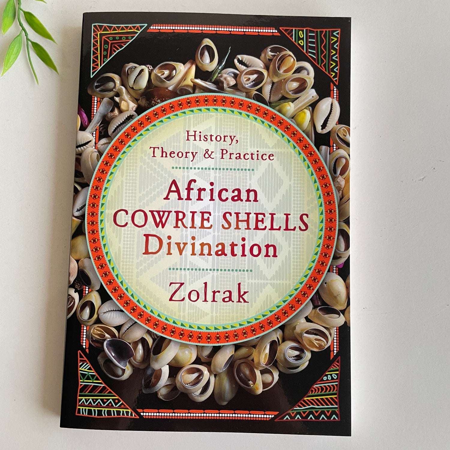 African Cowrie Shells Divination Zolrak