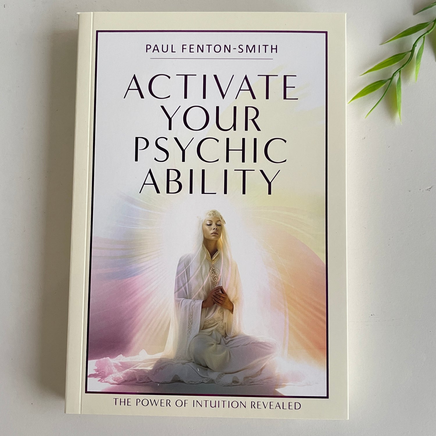 Activate Your Psychic Ability Paul Fenton Smith