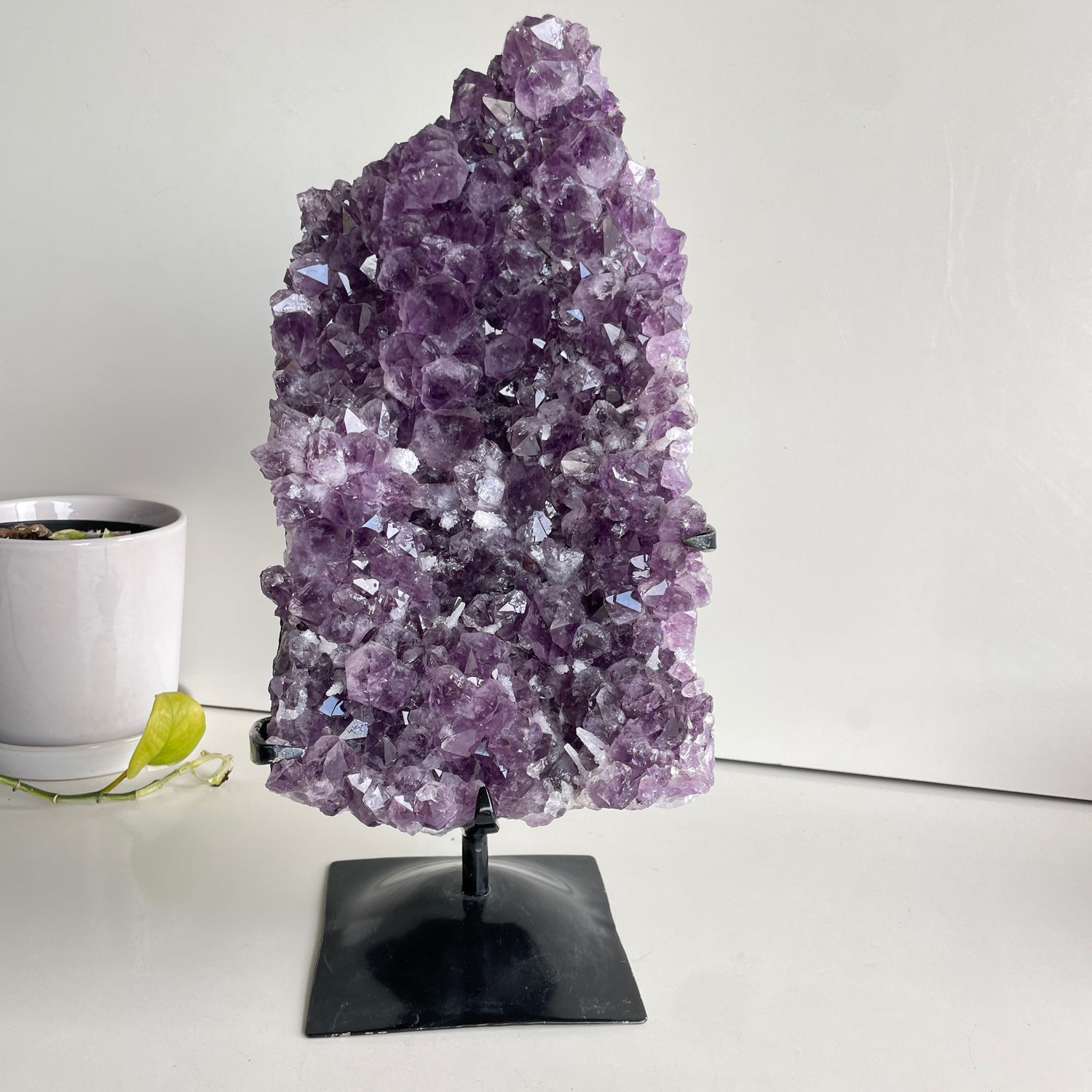 Amethyst Cluster In Stand 8.298kg