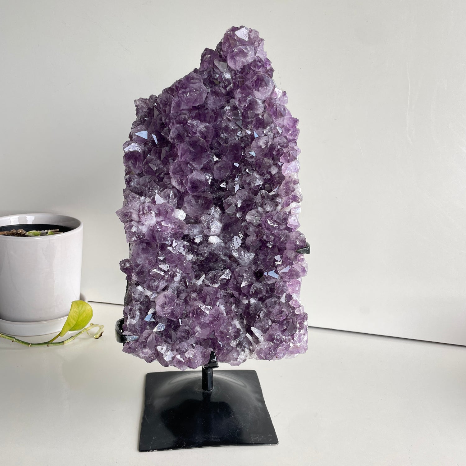 Amethyst Cluster In Stand 8.298kg