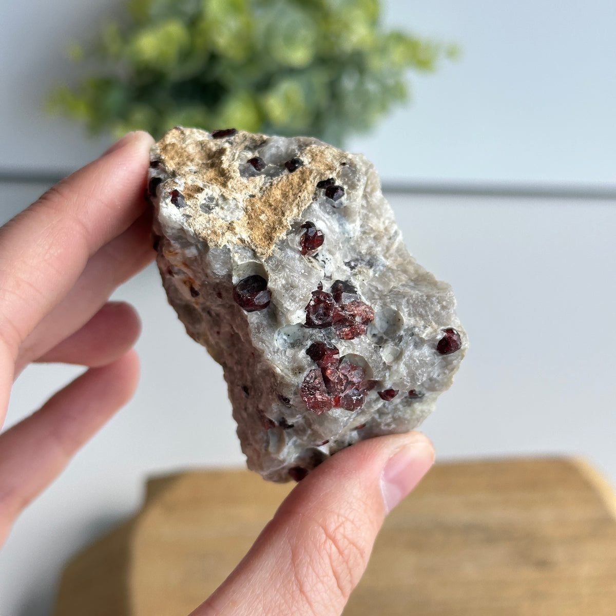 Garnet In Quartz Matrix Pce 134g