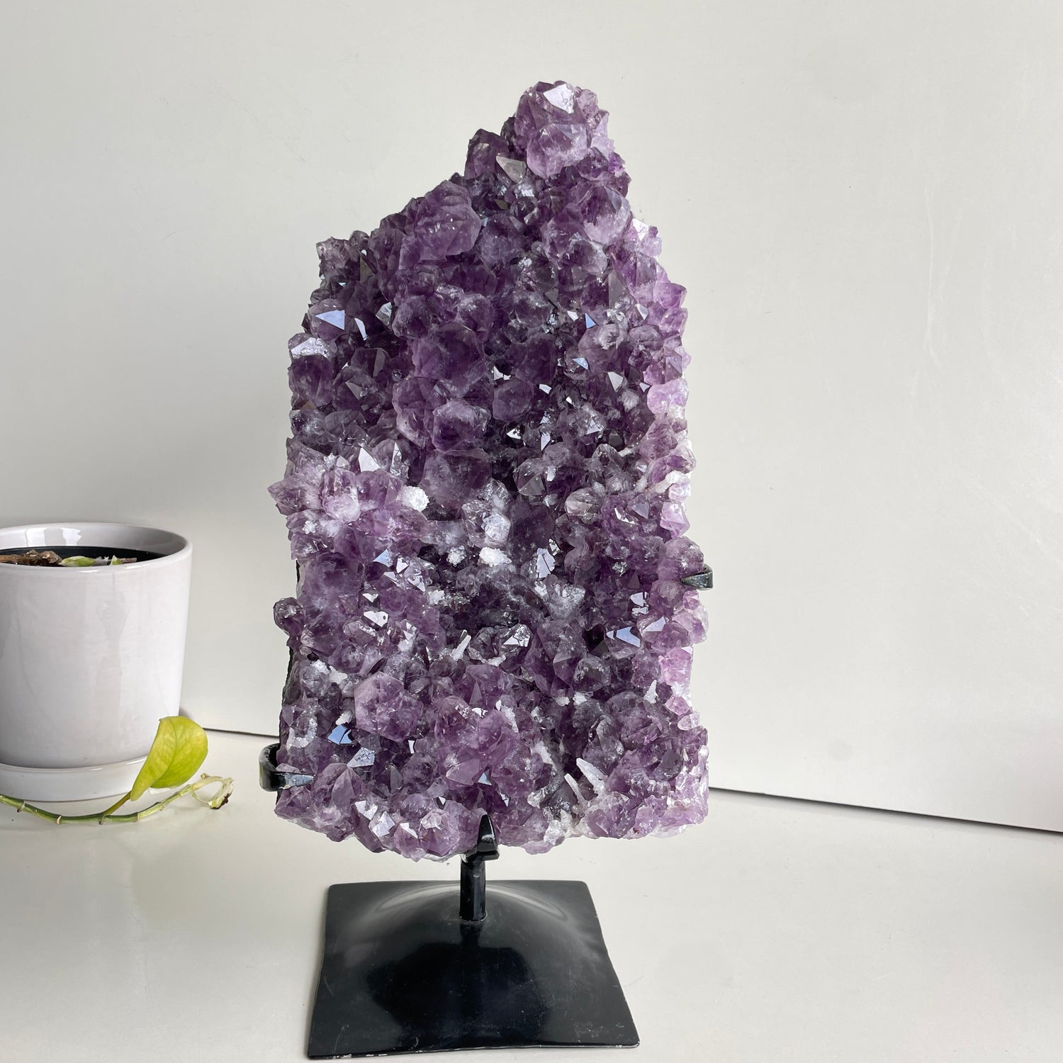 Amethyst Cluster In Stand 8.298kg