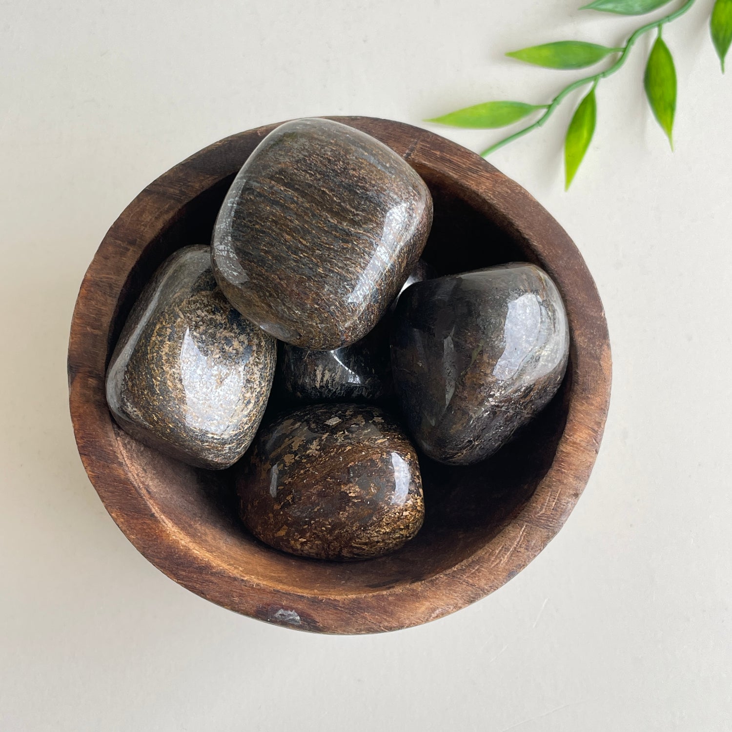 Bronzite Tumbled Lge