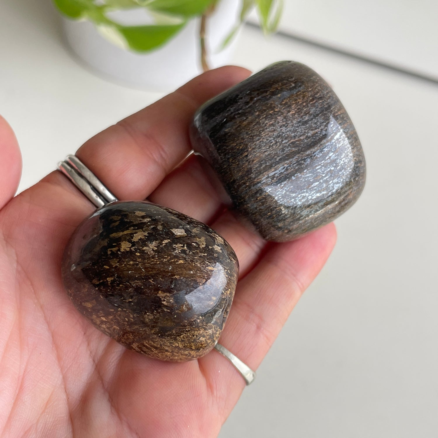 Bronzite Tumbled Lge