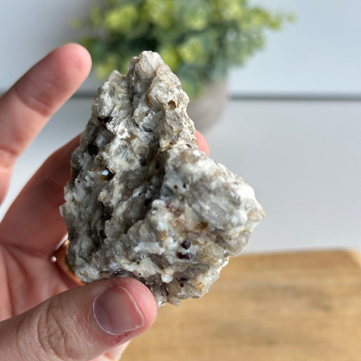 Garnet In Quartz Matrix Pce 92g