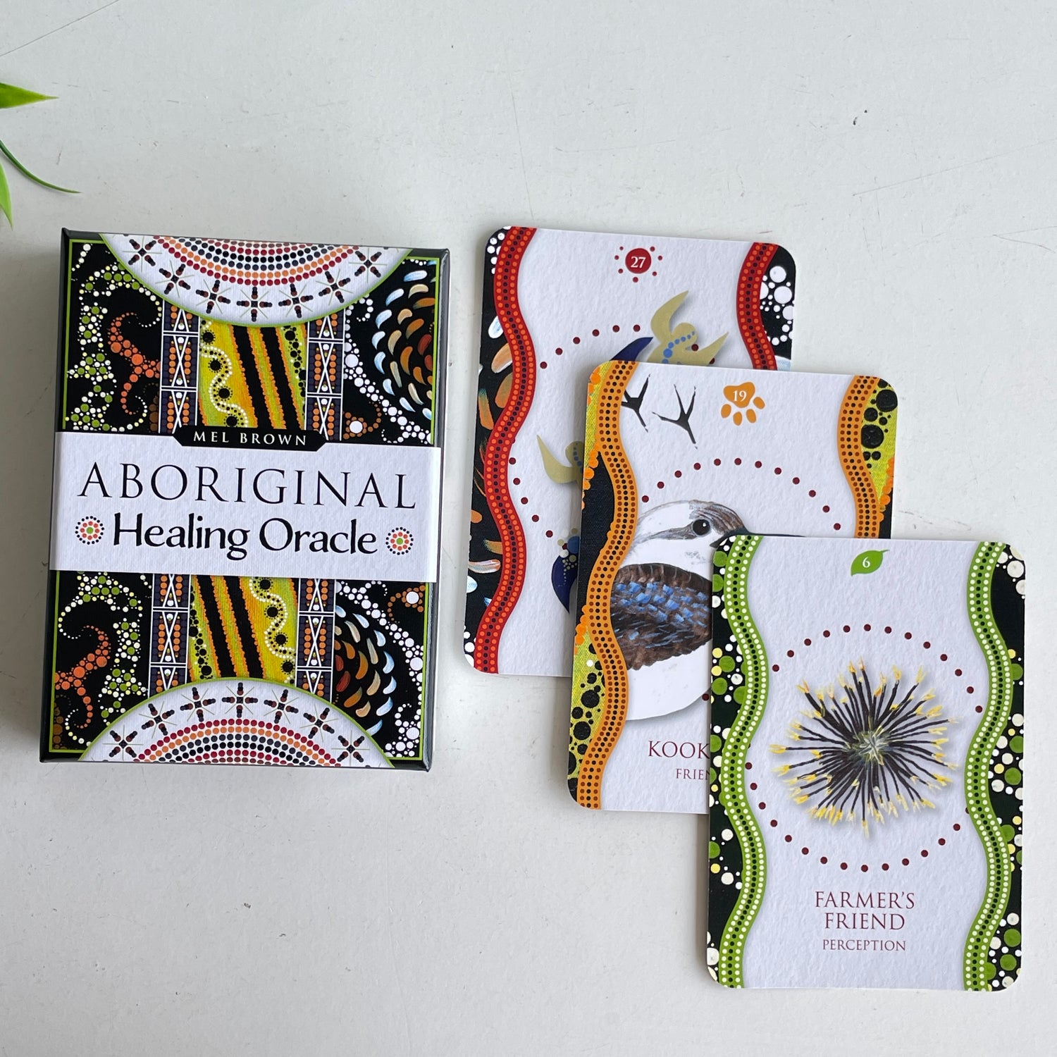 Aboriginal Healing Oracle Mel Brown